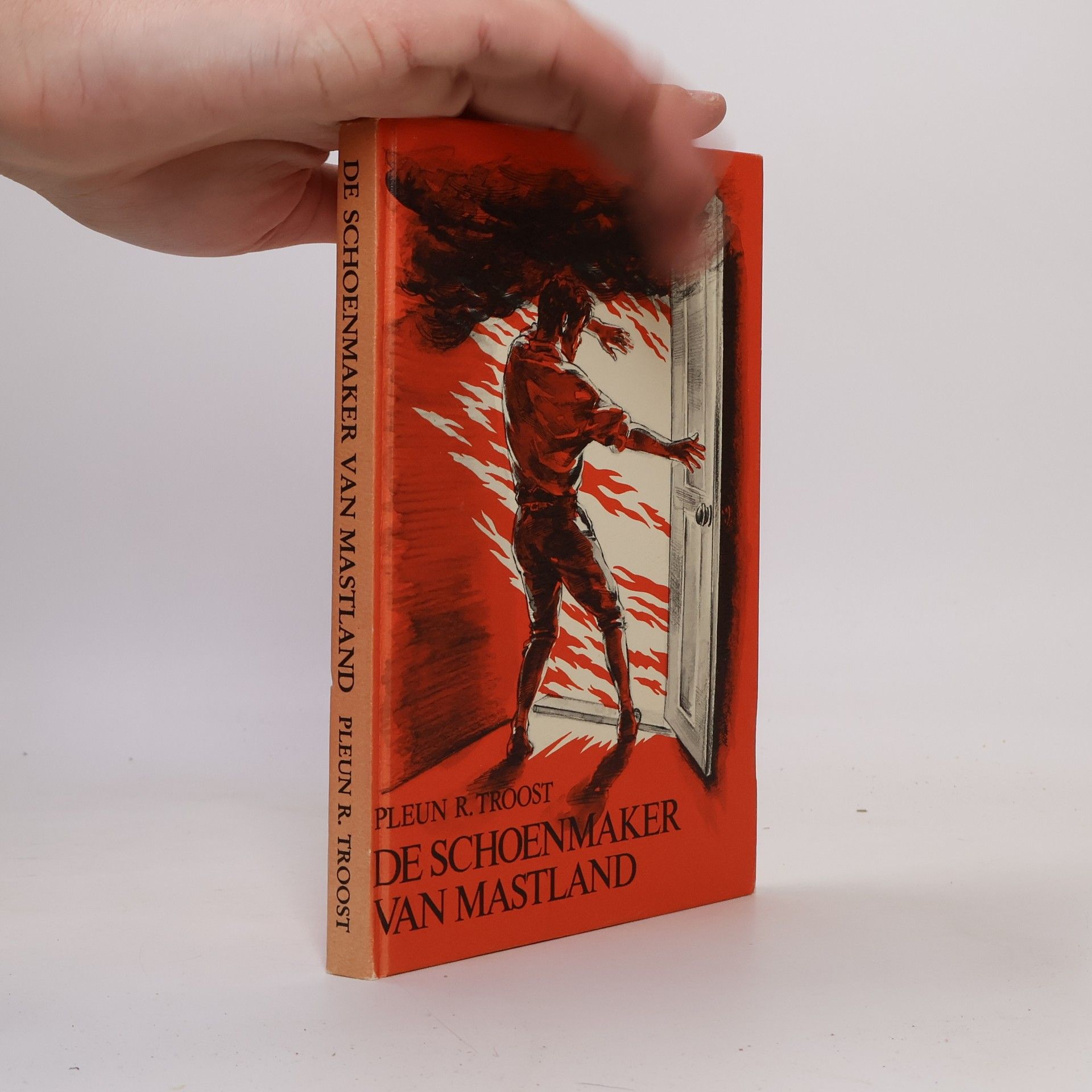 Der schoenmaker van Mastland