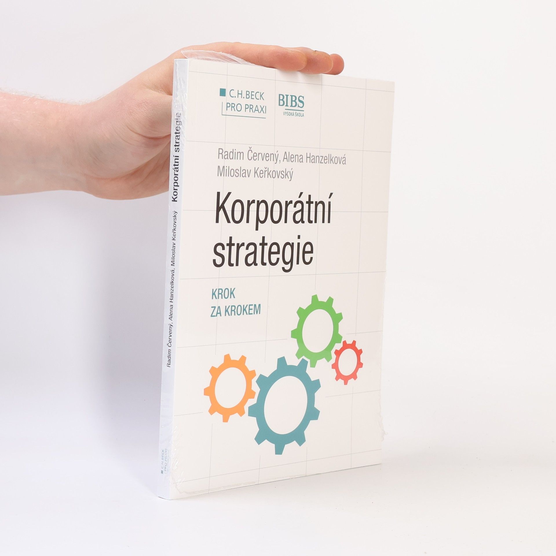 Alena Hanzelková Korporátní strategie