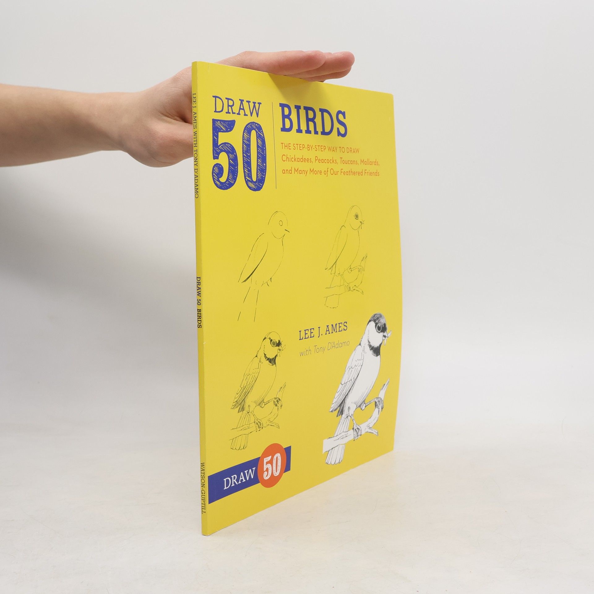 Lee J. Ames Draw 50 Birds