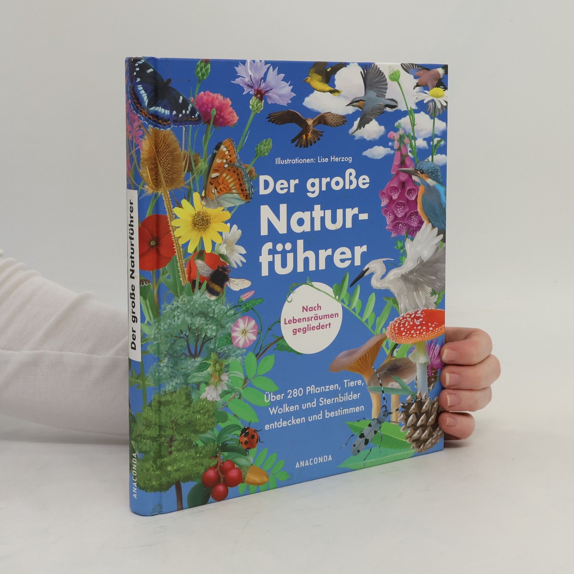 Morgane Peyrot Der große Naturführer. Pflanzen, Tiere, Wolken und Sternbilder bestimmen. Nach Lebensräumen gegliedert.