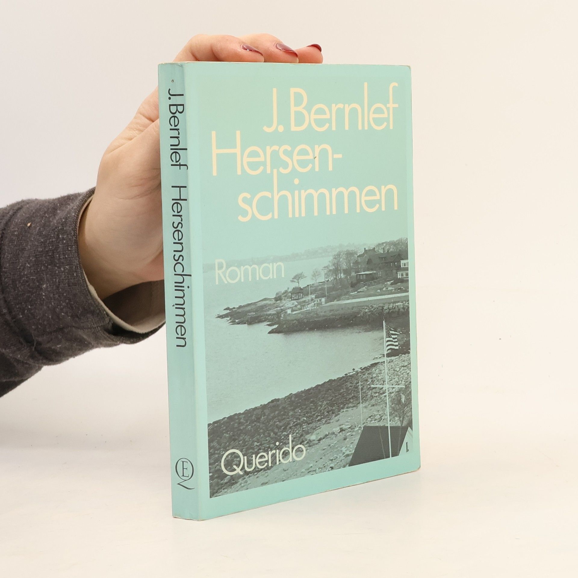 J. Bernlef Hersenschimmen