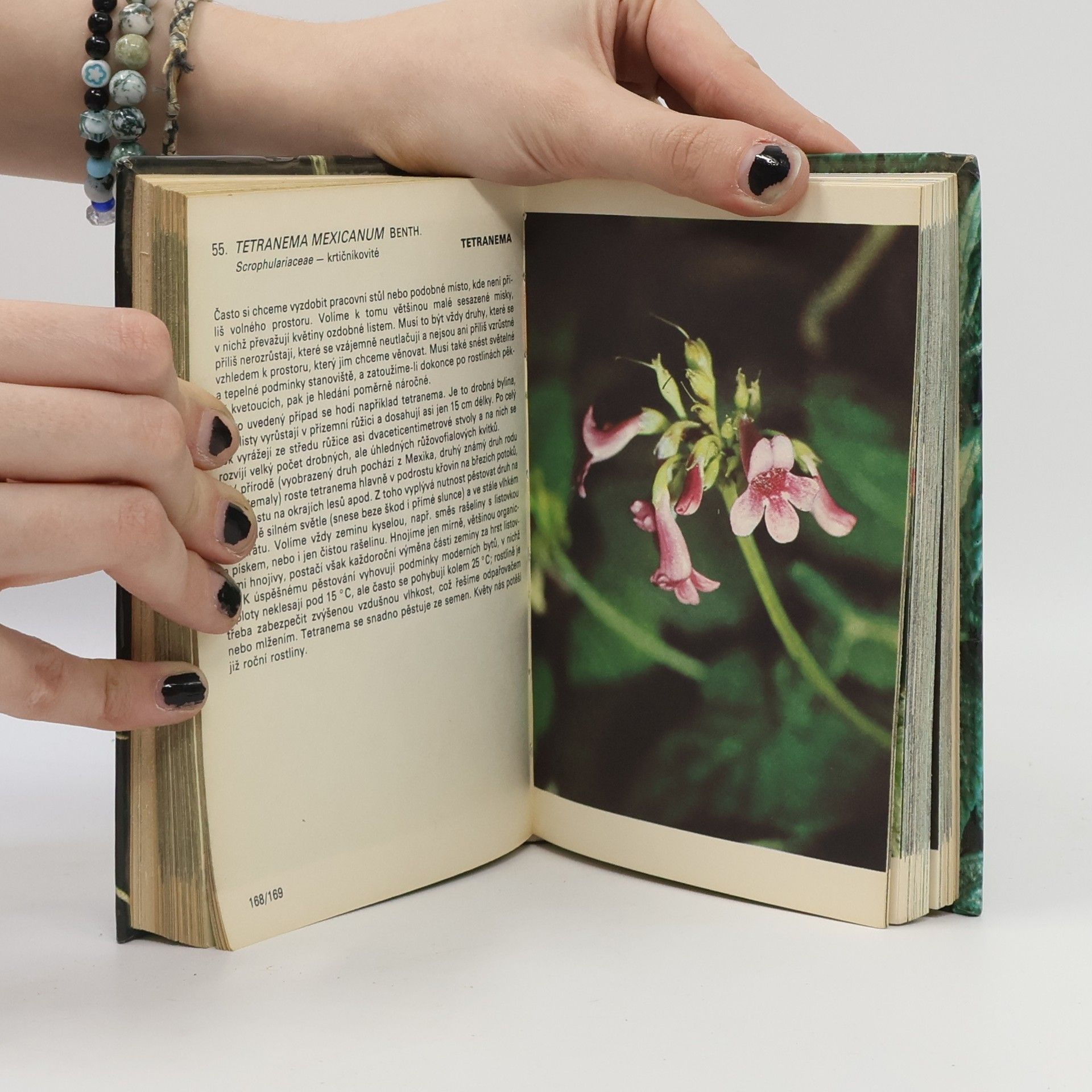 Jiří R. Haager Kapesní atlas pěstovaných exotických rostlin
