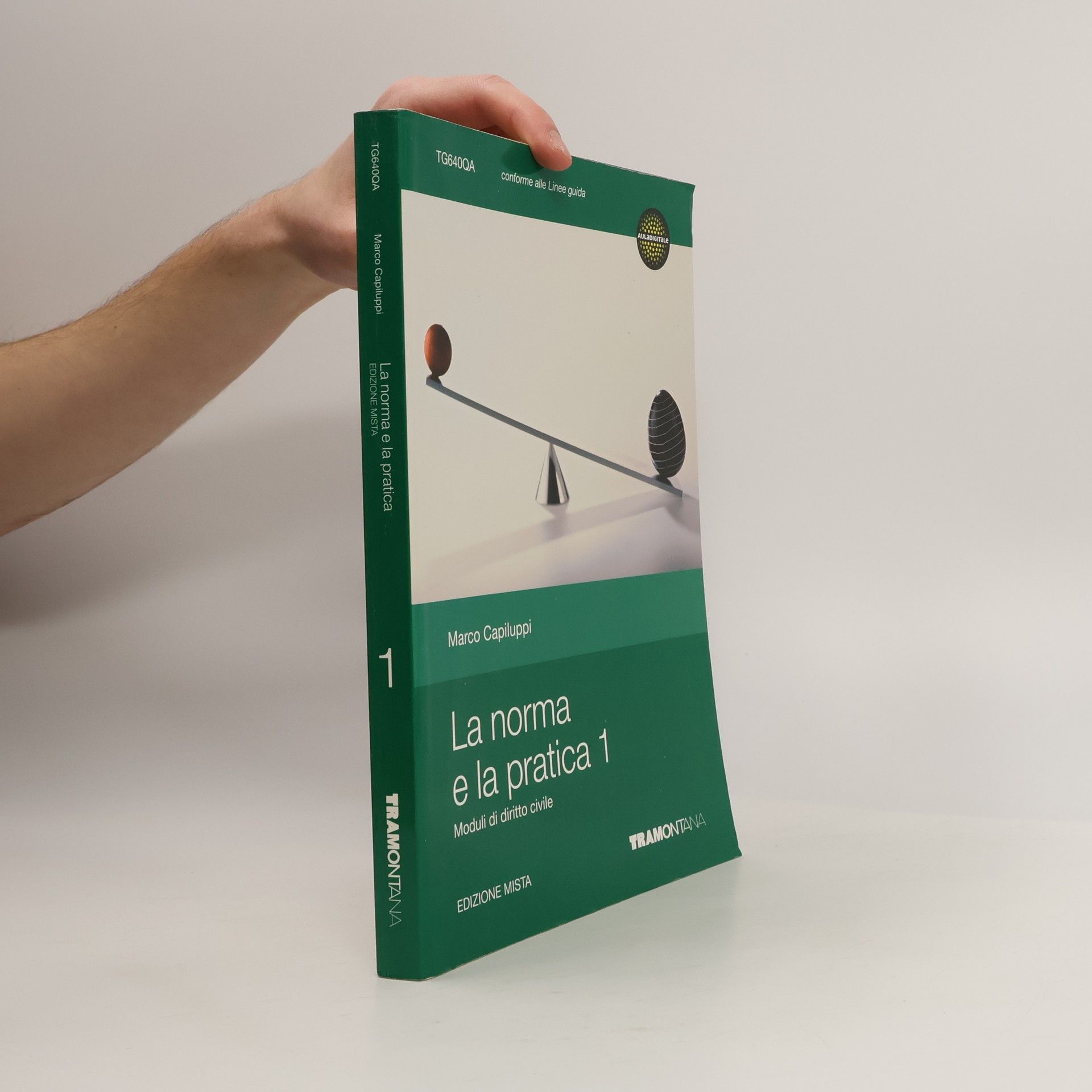 Marco Capiluppi La norma e la pratica 1