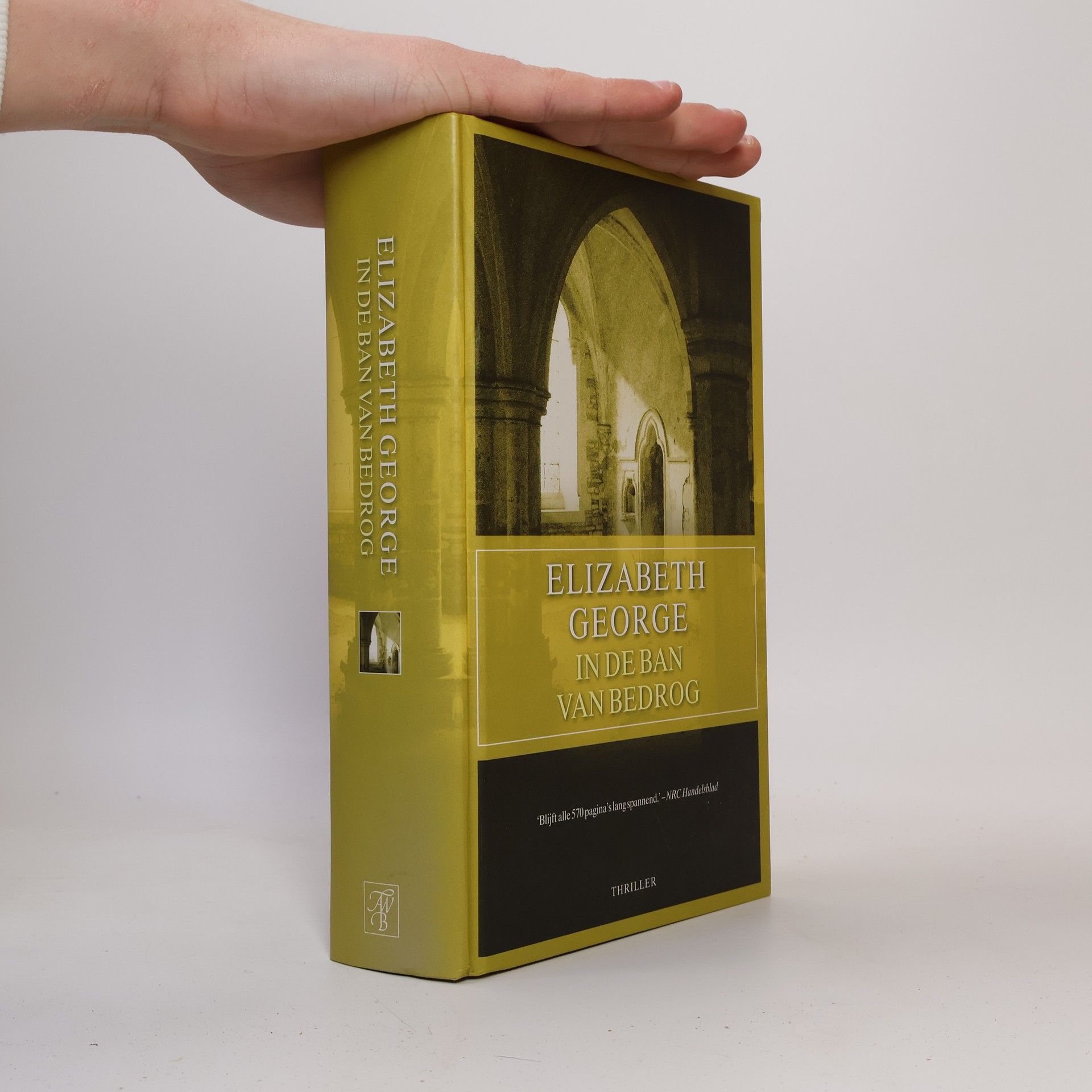 Susan Elizabeth George In de ban van bedrog