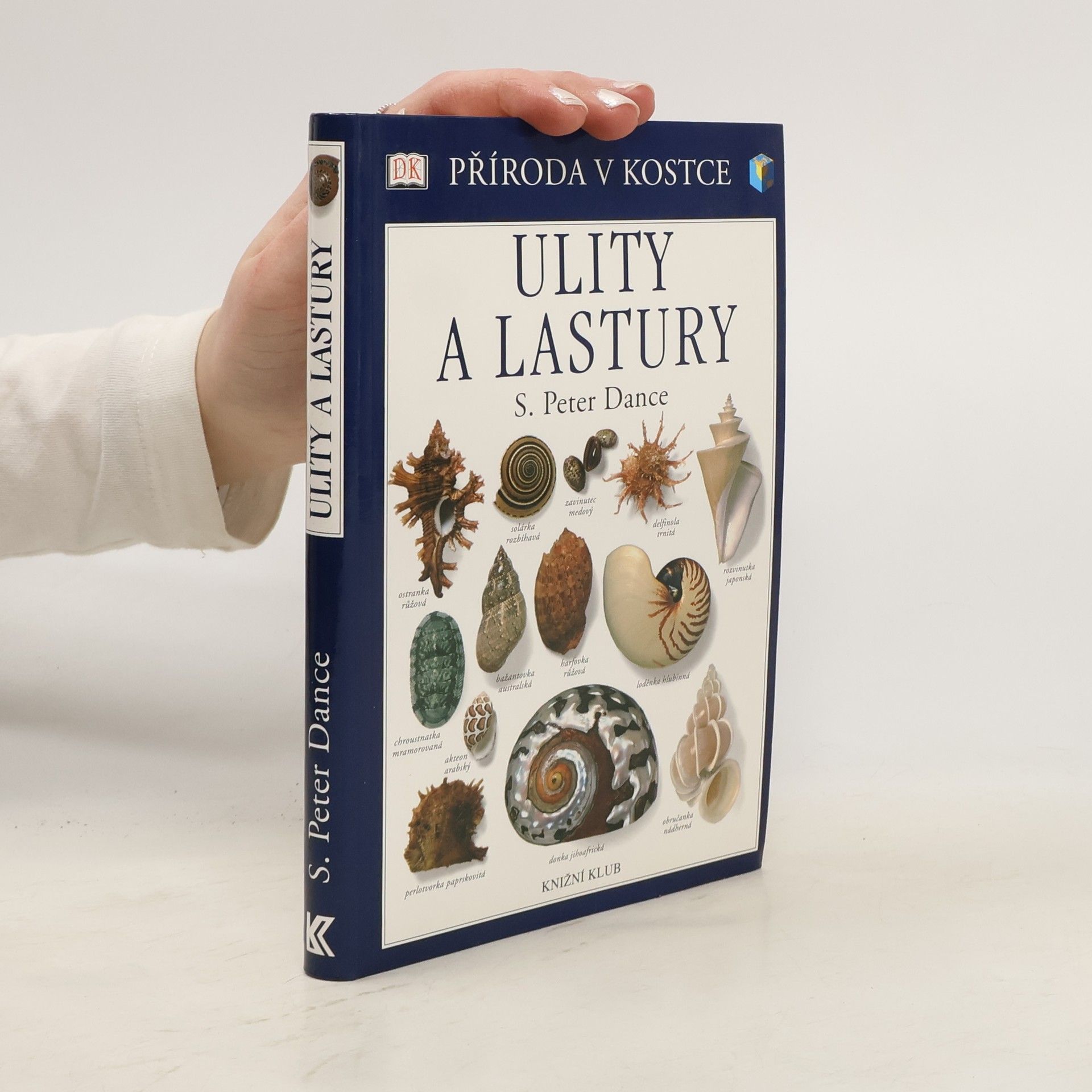 S. Peter Dance Ulity a lastury