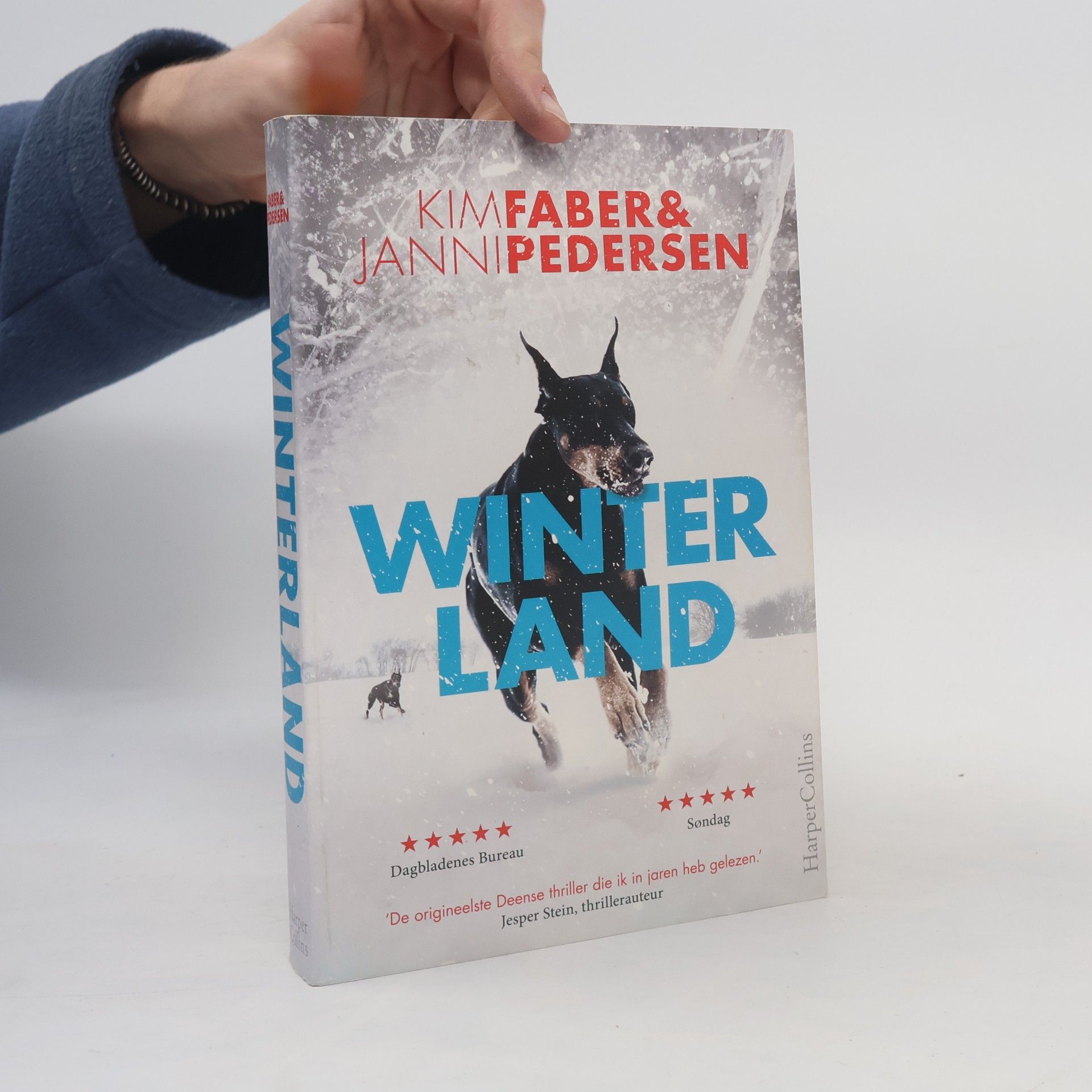 Kim Faber Winter Land