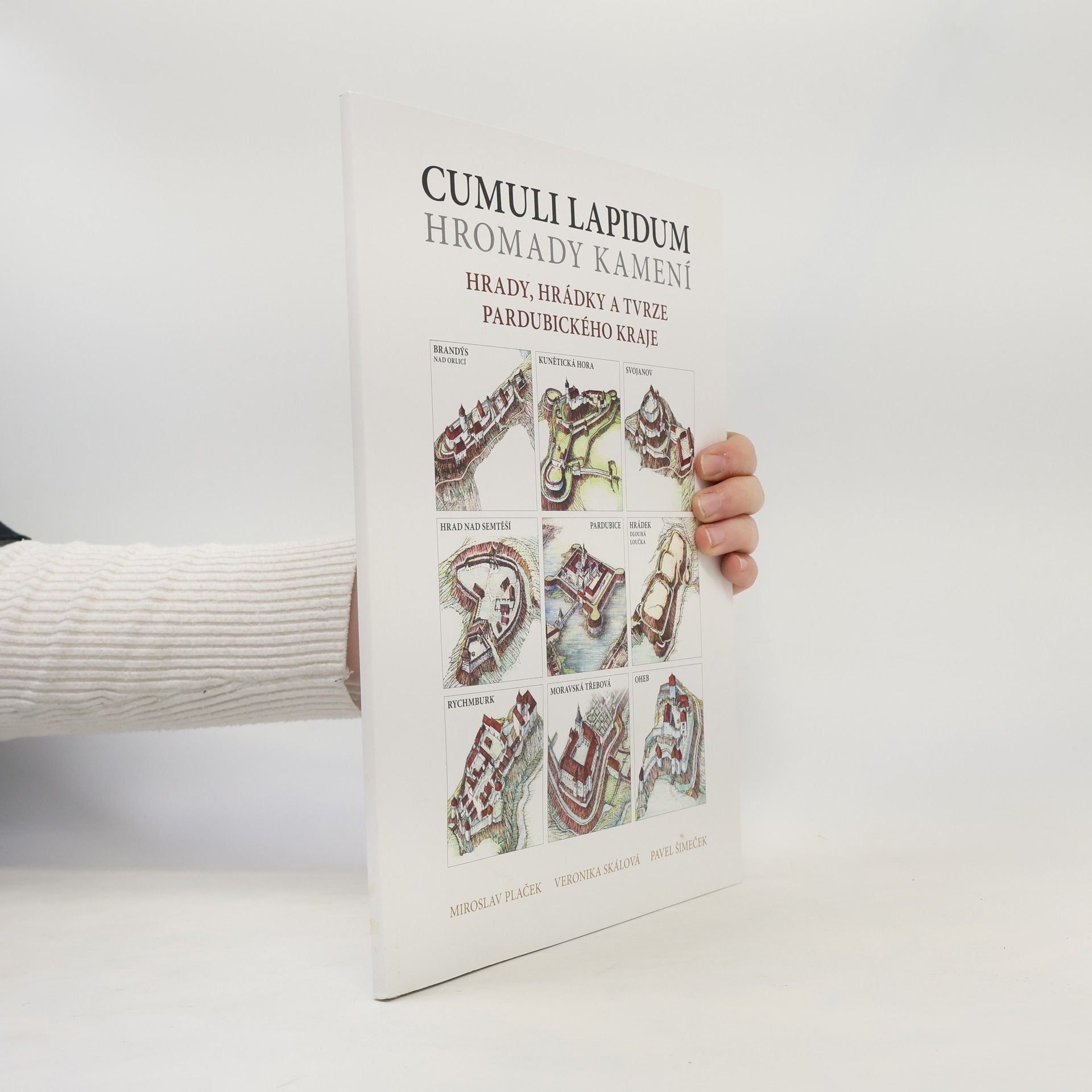 Miroslav Plaček Cumuli Lapidum: Hromady kamení - Hrady, hrádky a tvrze Pardubického kraje