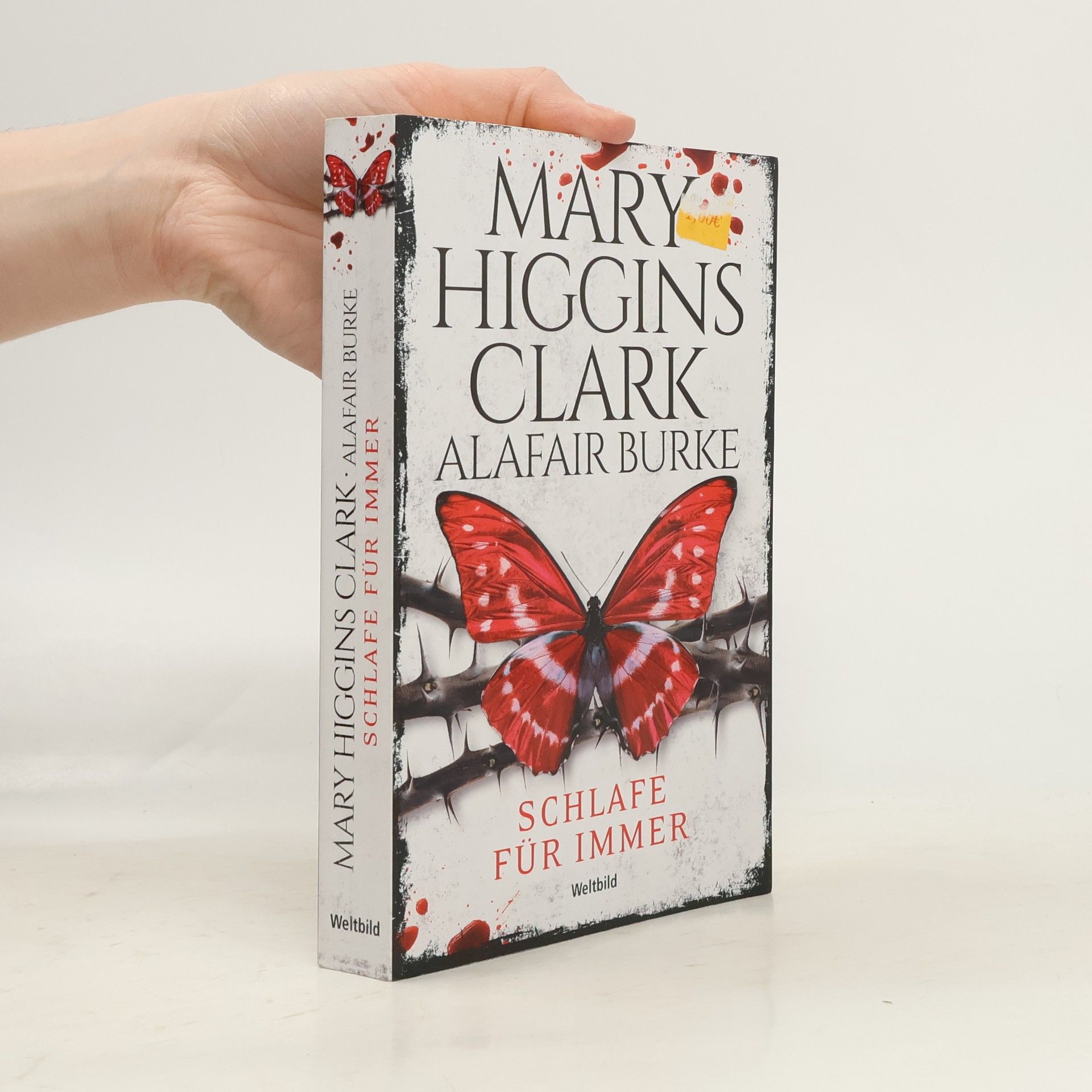 Mary Higgins Clark Schlafe für immer