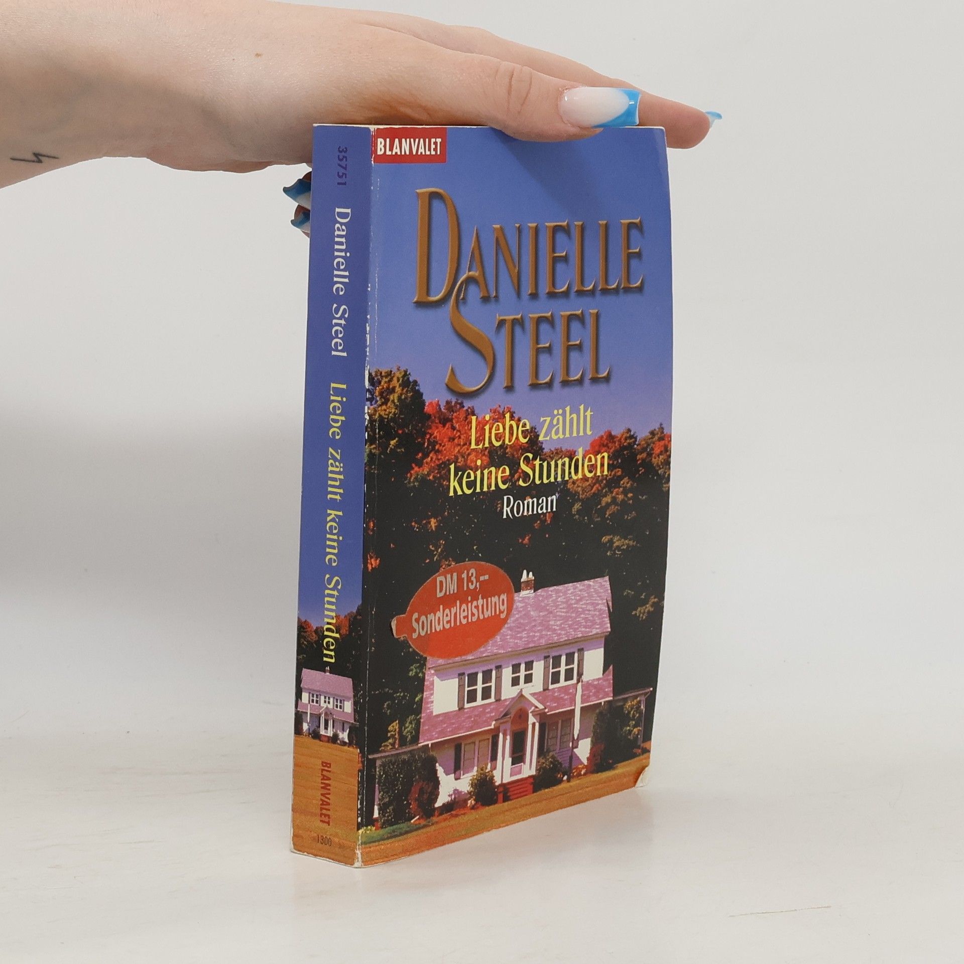 Danielle Steel Liebe zählt keine Stunden