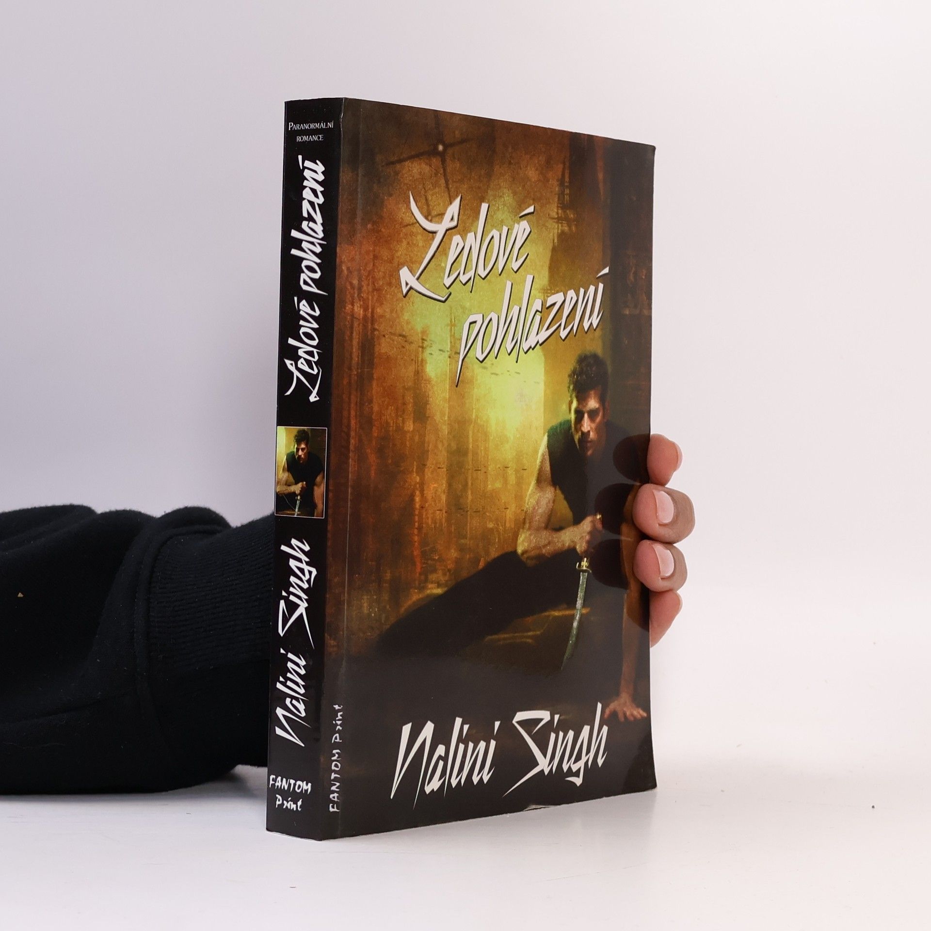 Nalini Singh Ledové pohlazení