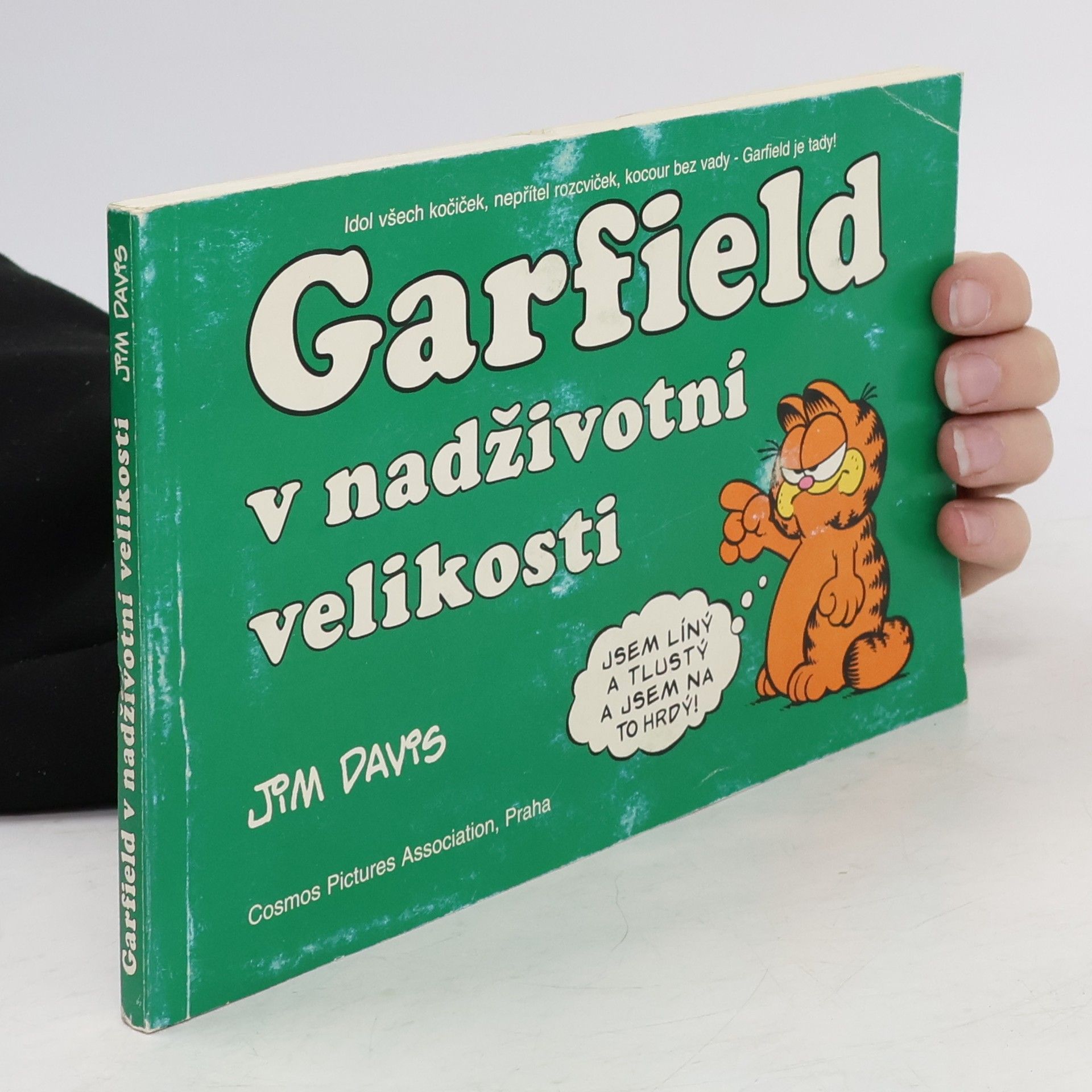 Jim Davis Garfield v nadživotní velikosti