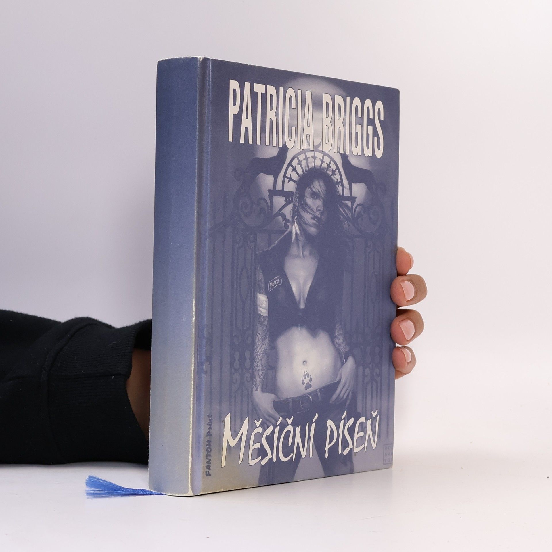 Patricia Briggs Měsíční píseň