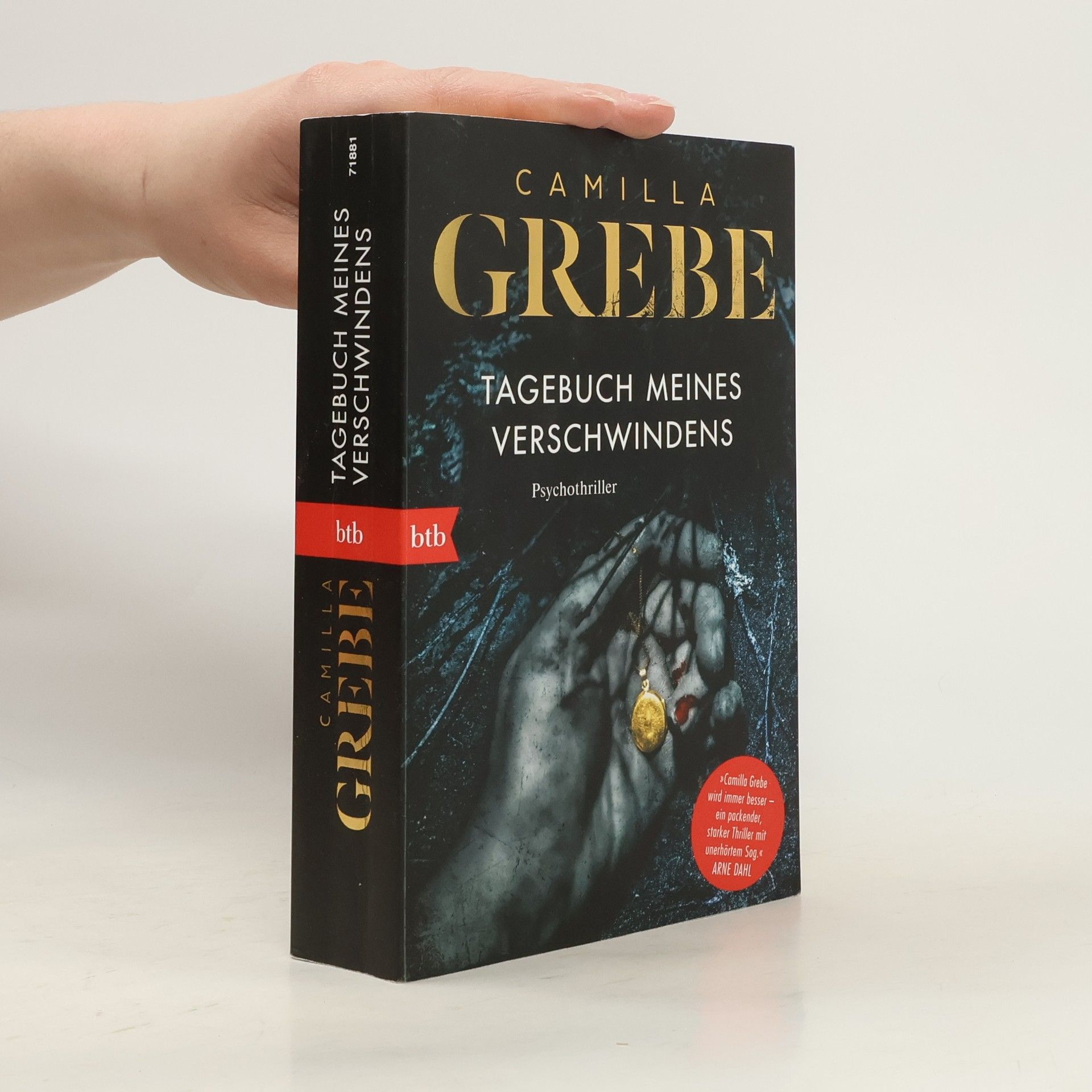 Camilla Grebe Tagebuch meines Verschwindens