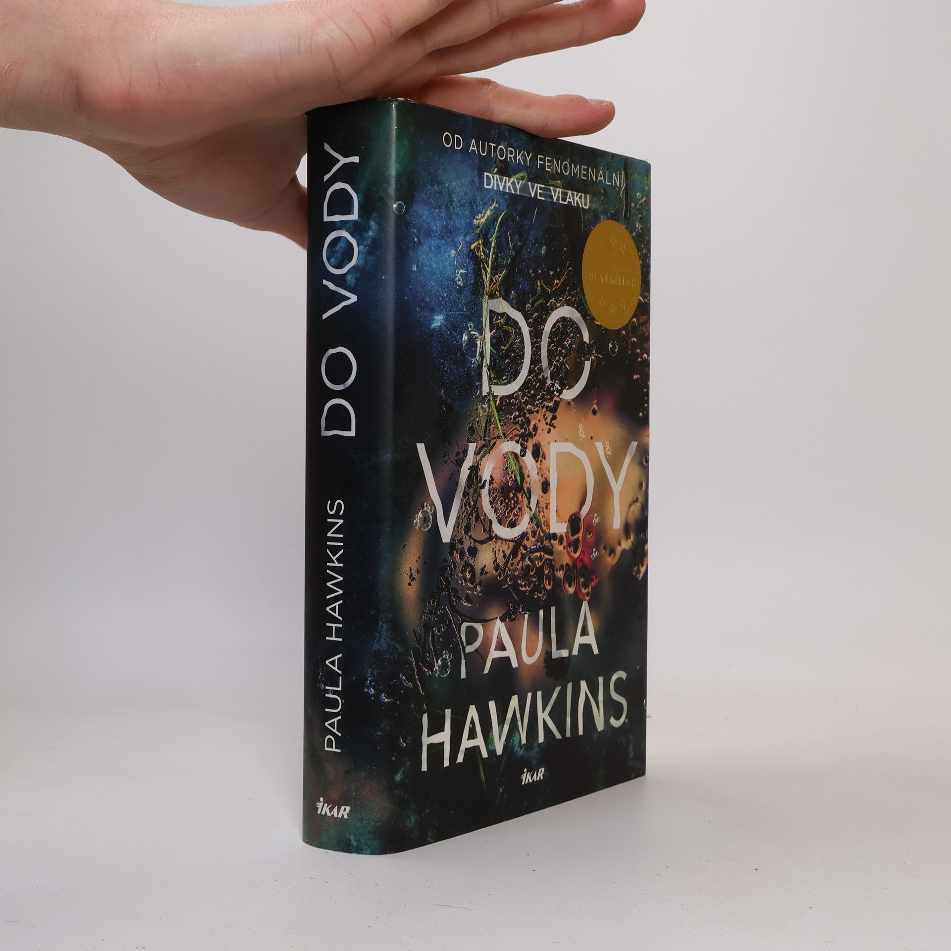 Paula Hawkins Do vody