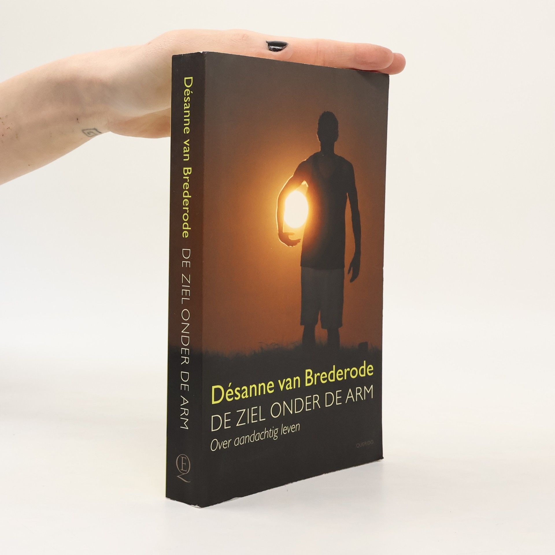 Désanne van Brederode De ziel onder de arm