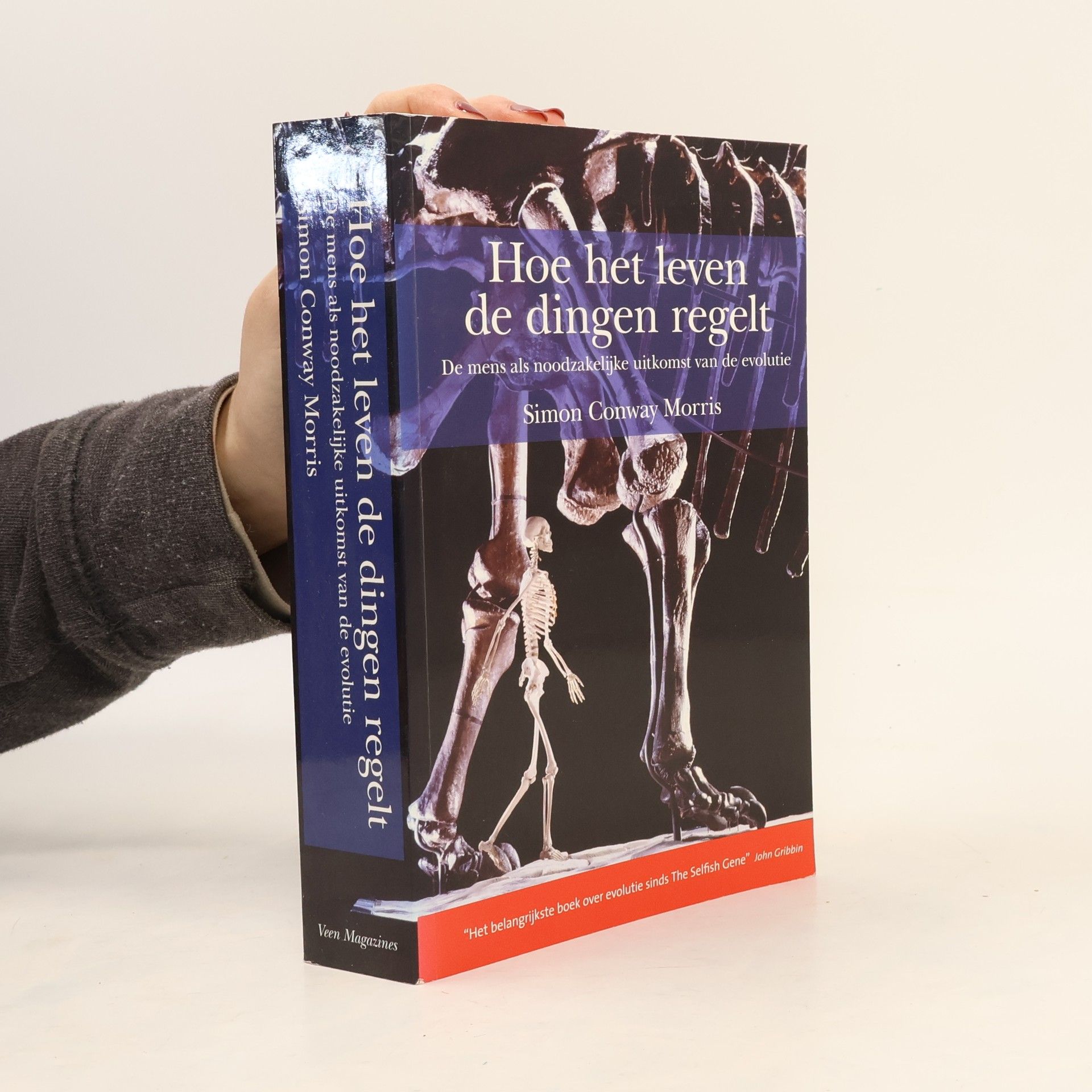 Conny Sýkora Hoe het leven de dingen regelt