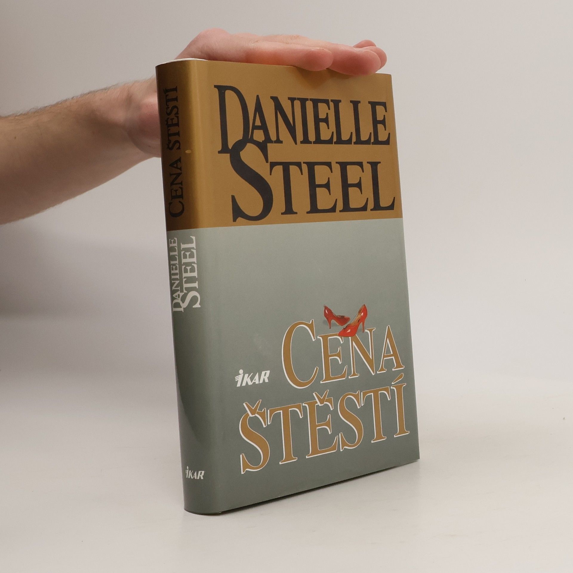 Danielle Steel Cena štěstí