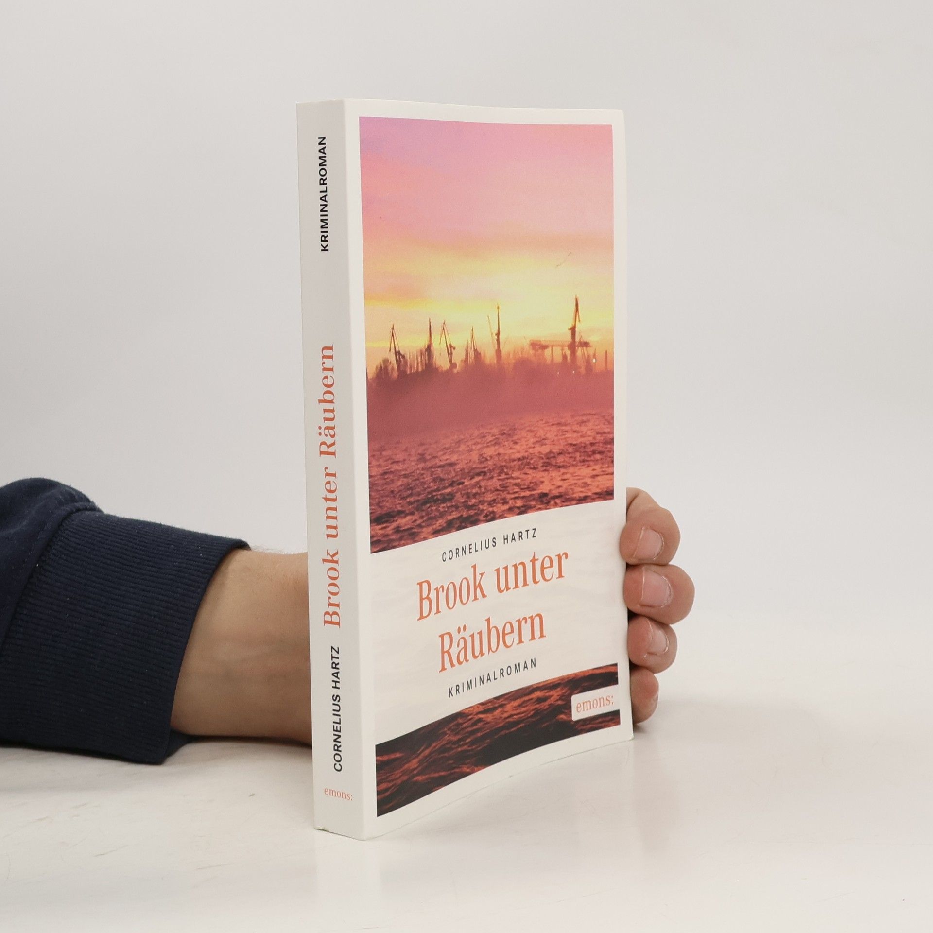 Cornelius Hartz Brook unter Räubern