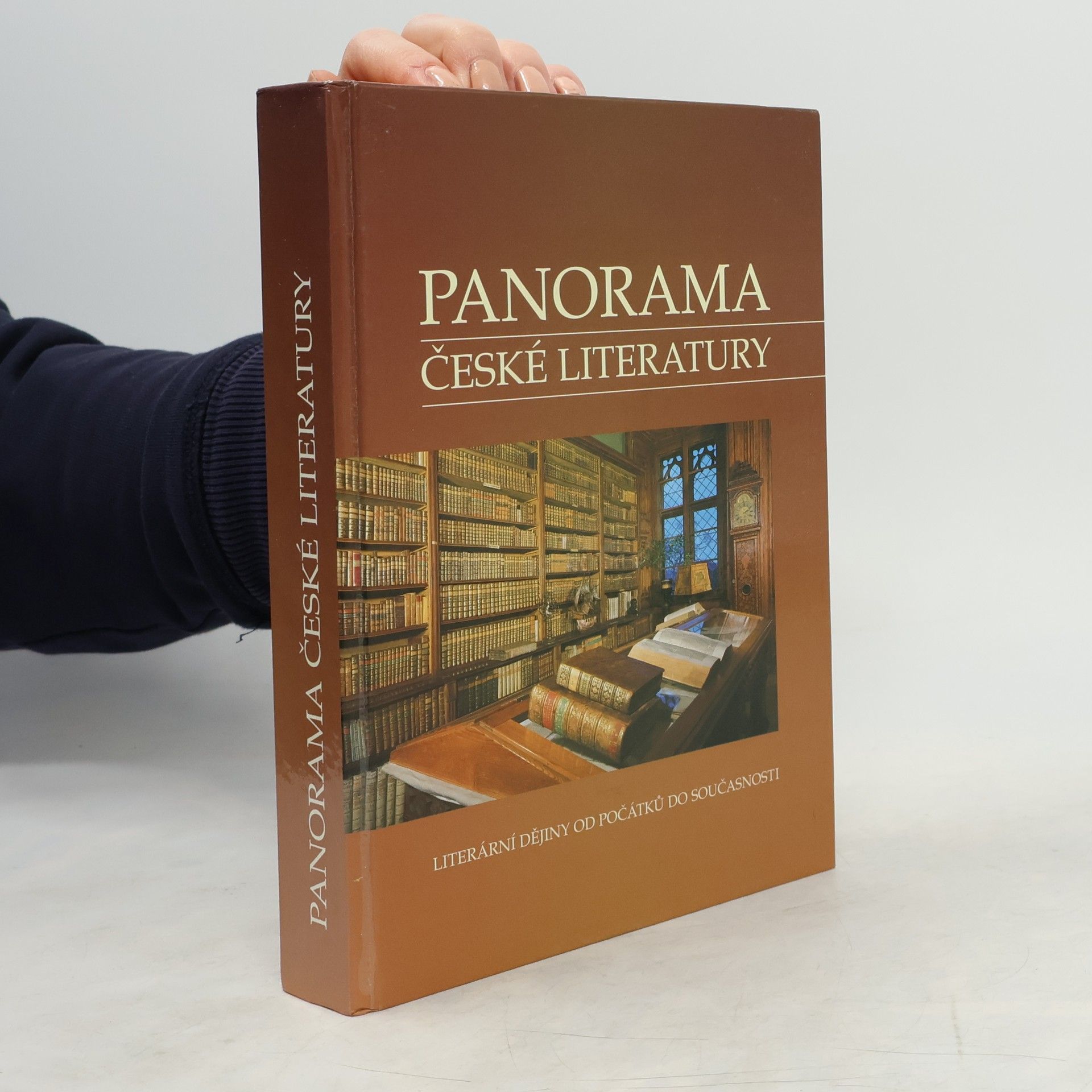 Josef Galík Panorama české literatury. Literární dějiny od počátků do současnosti