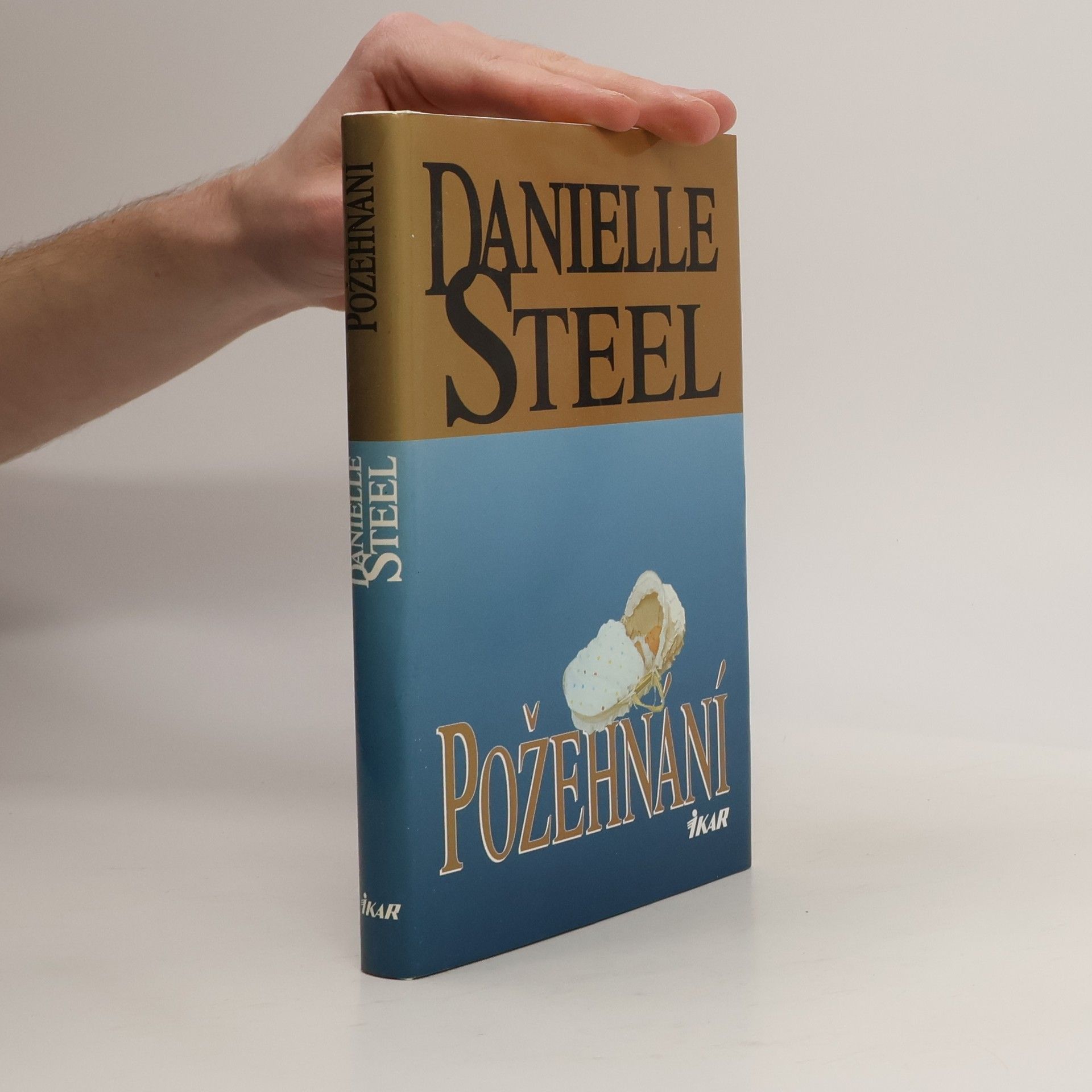 Danielle Steel Požehnání