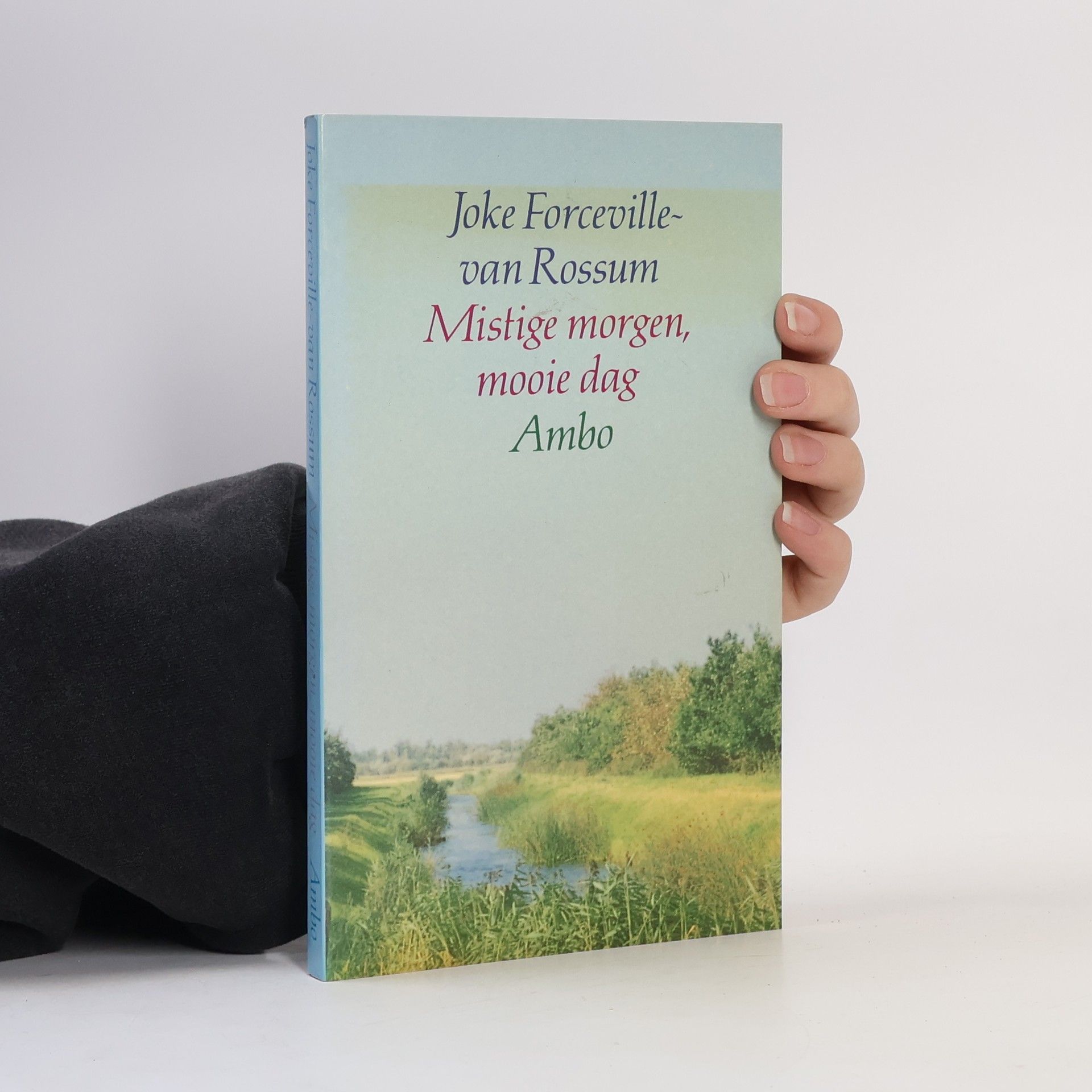 Joke Forceville-van Rossum Mistige morgen, mooie dag