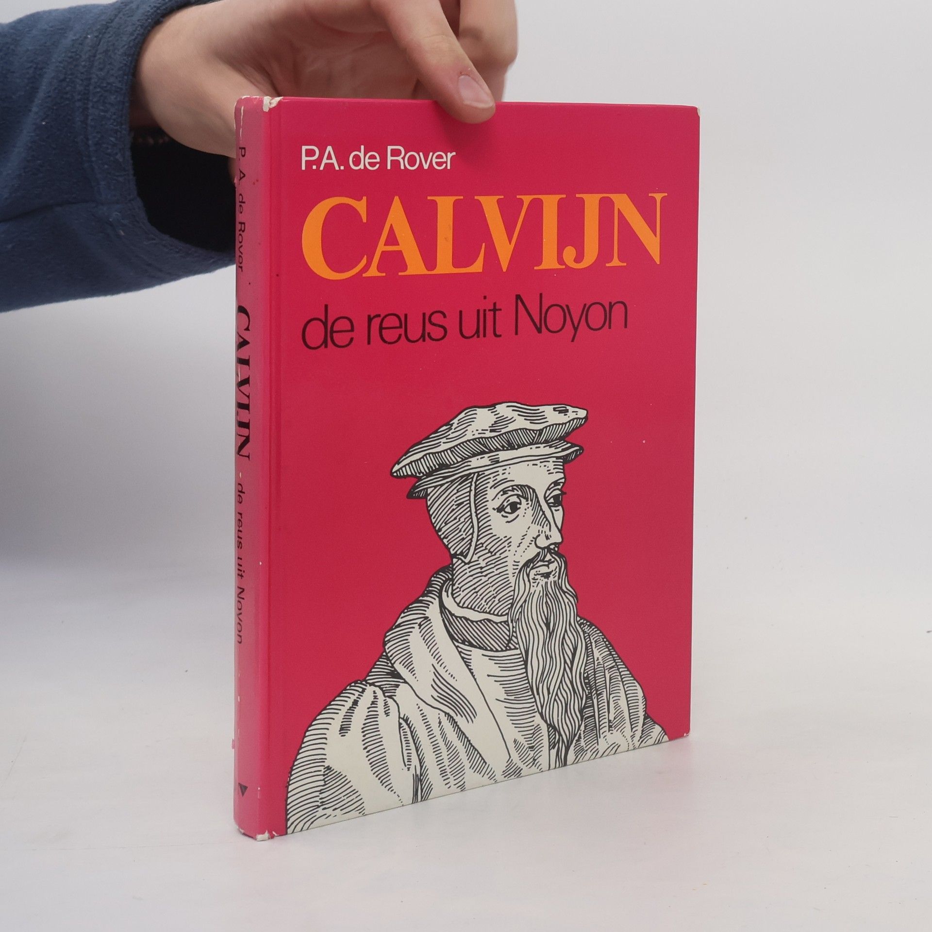 Piet Adriaan de Rover Calvijn, de reus uit Noyon