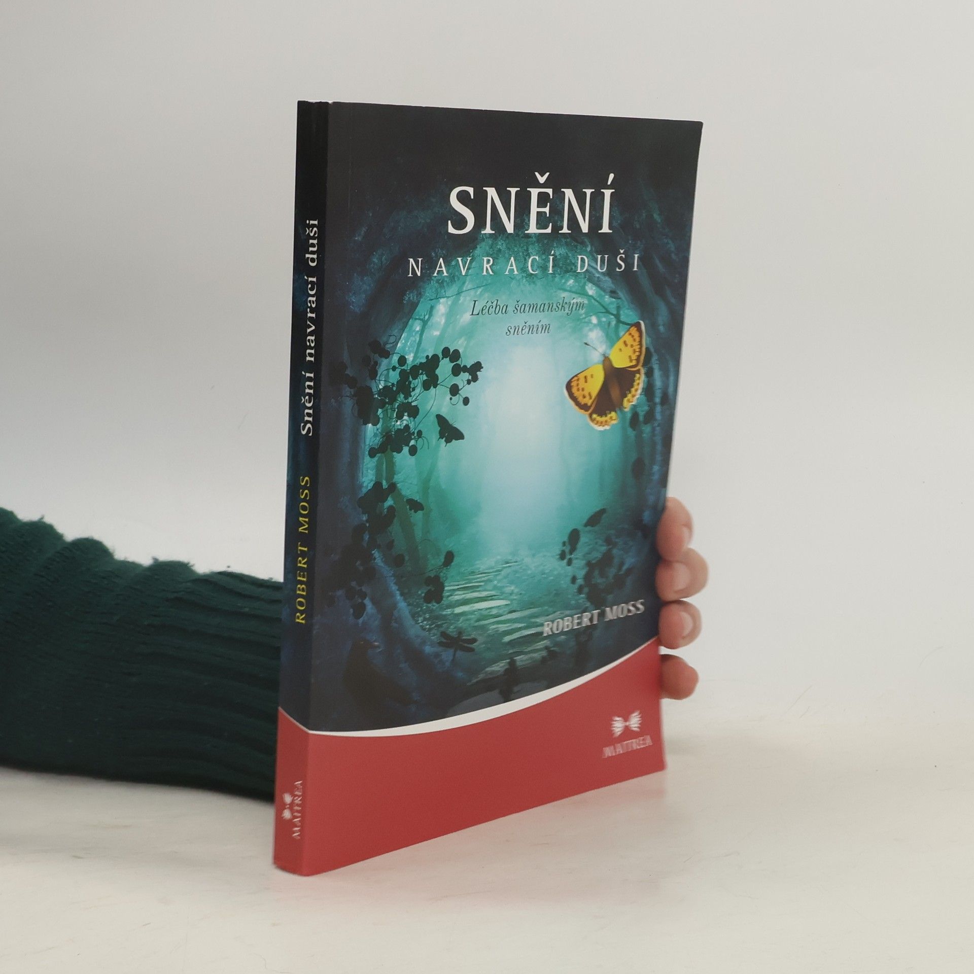 Robert Moss Snění navrací duši. Léčba šamanským sněním