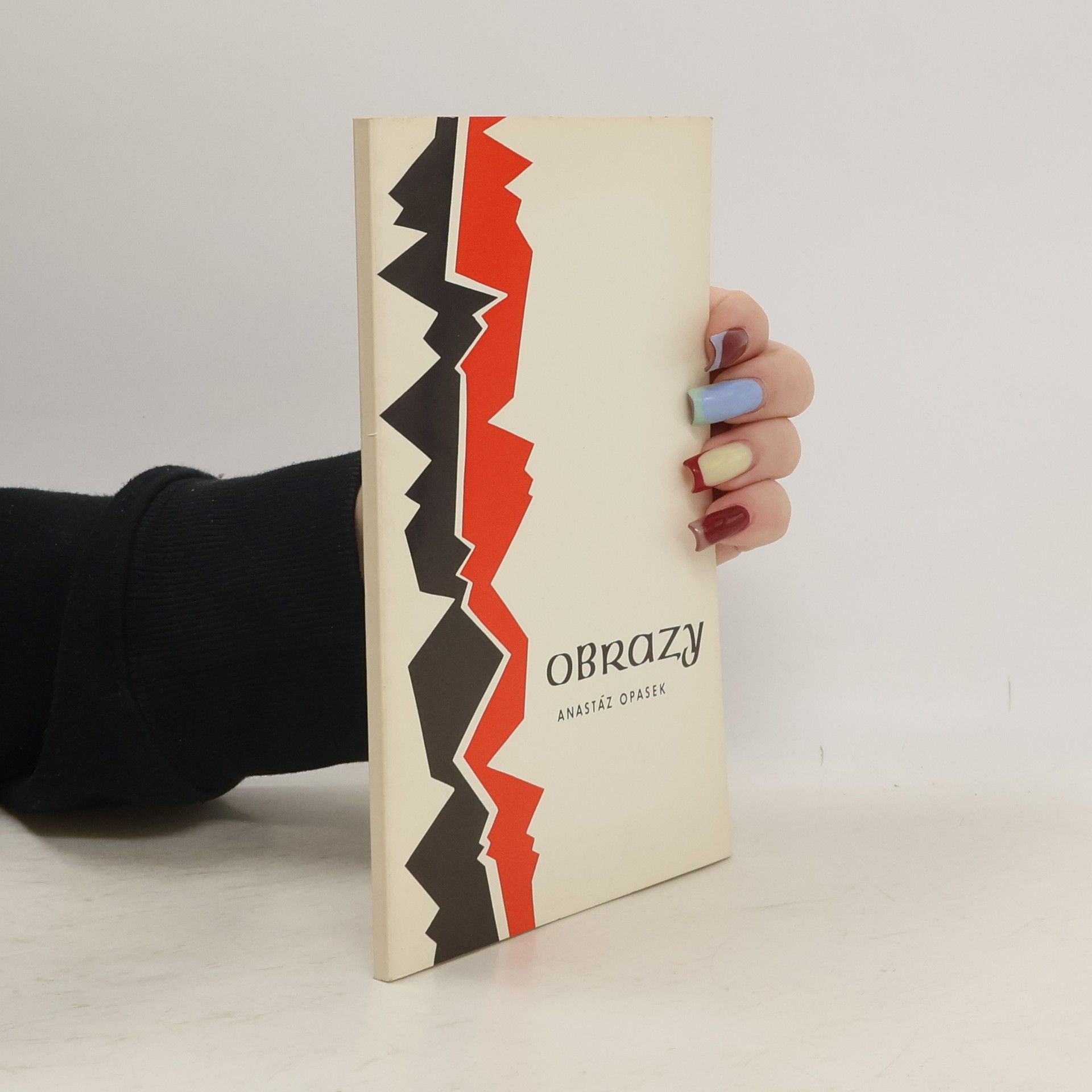 Jan Anastáz Opasek Obrazy