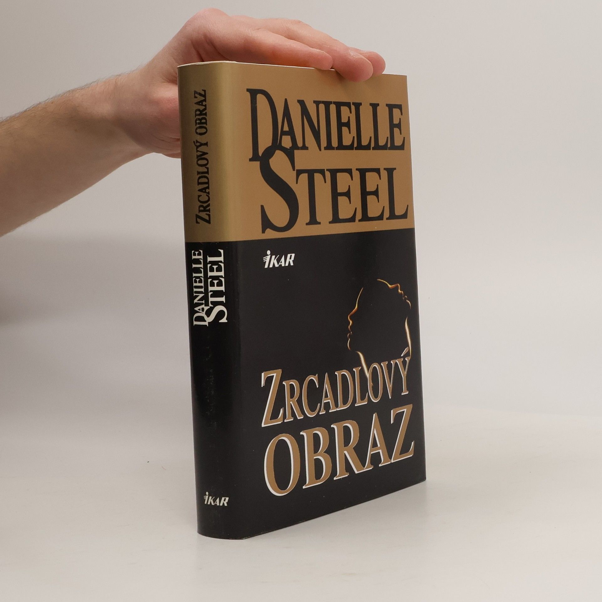 Danielle Steel Zrcadlový obraz