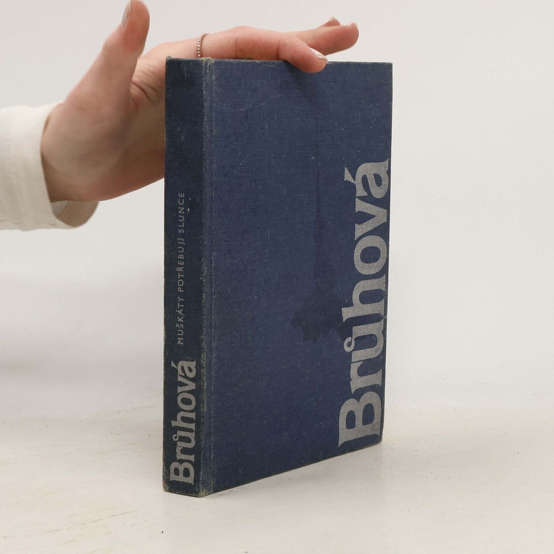 Brůhová Milena Muškáty potřebují slunce