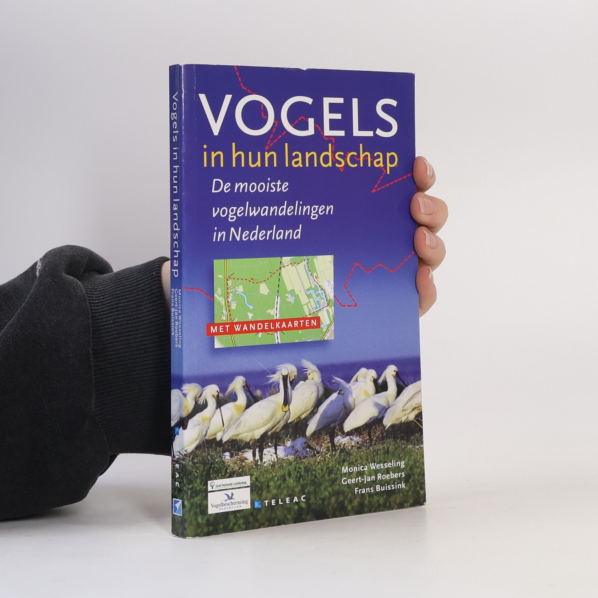 Vogels in hun landschap