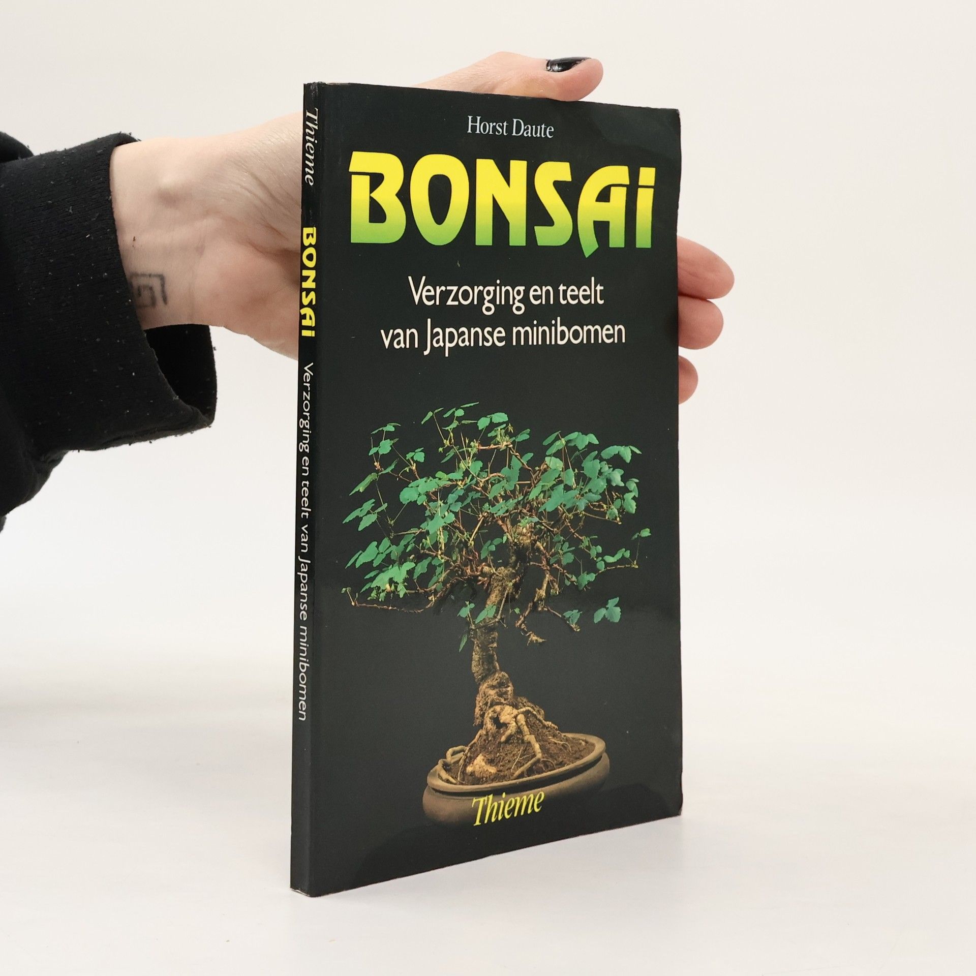Horst Daute Bonsai
