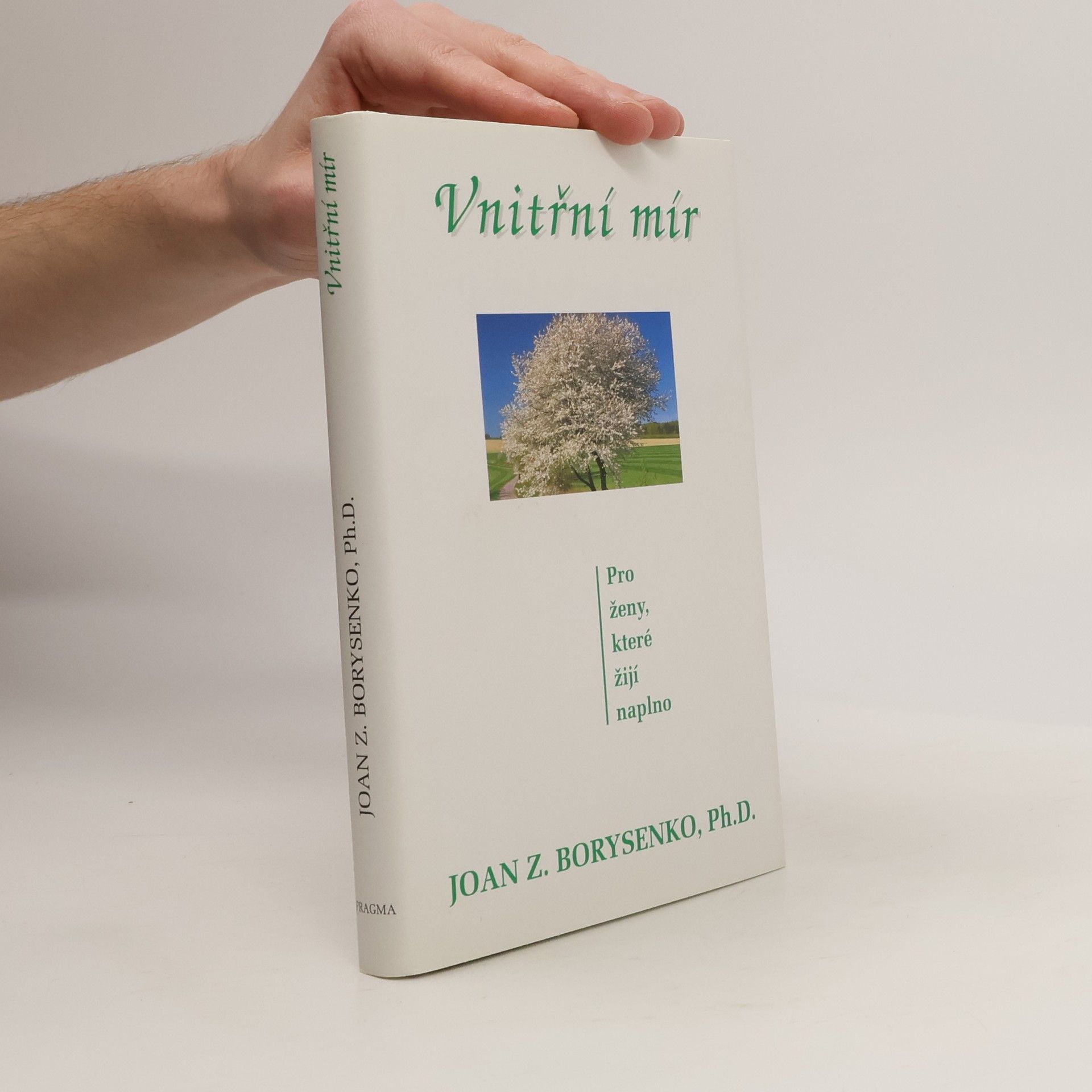 Joan Borysenko Vnitřní mír