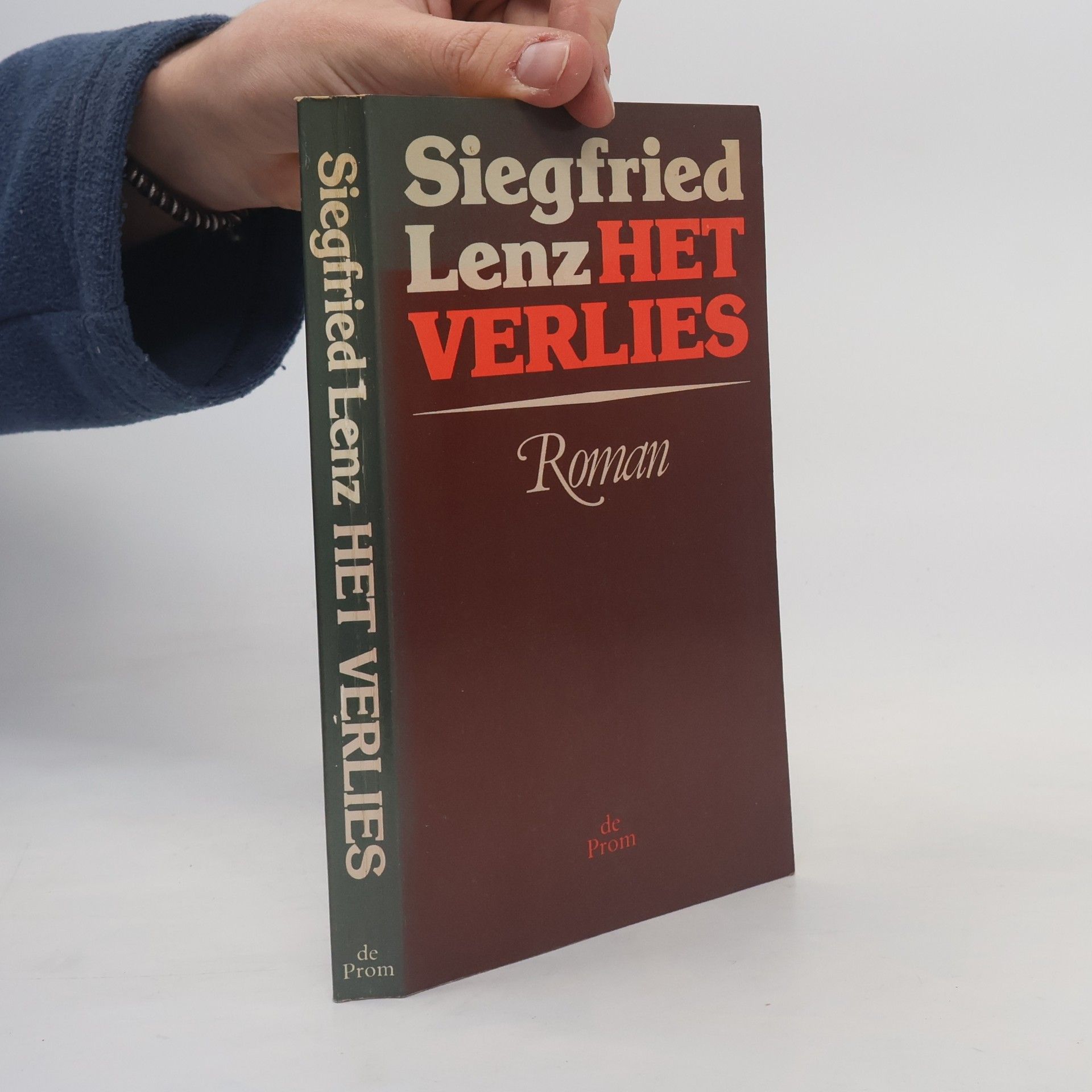 Siegfried Lenz Het verlies