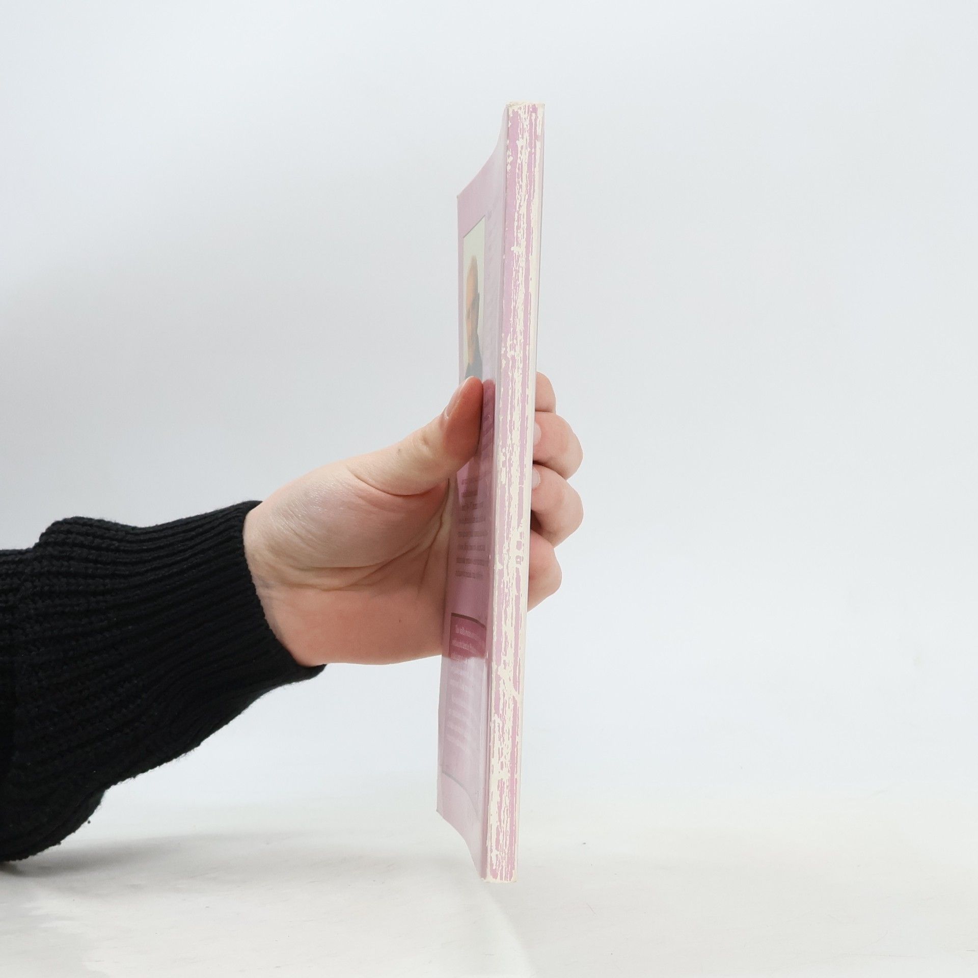 František Planner Obrazy z dějin církve