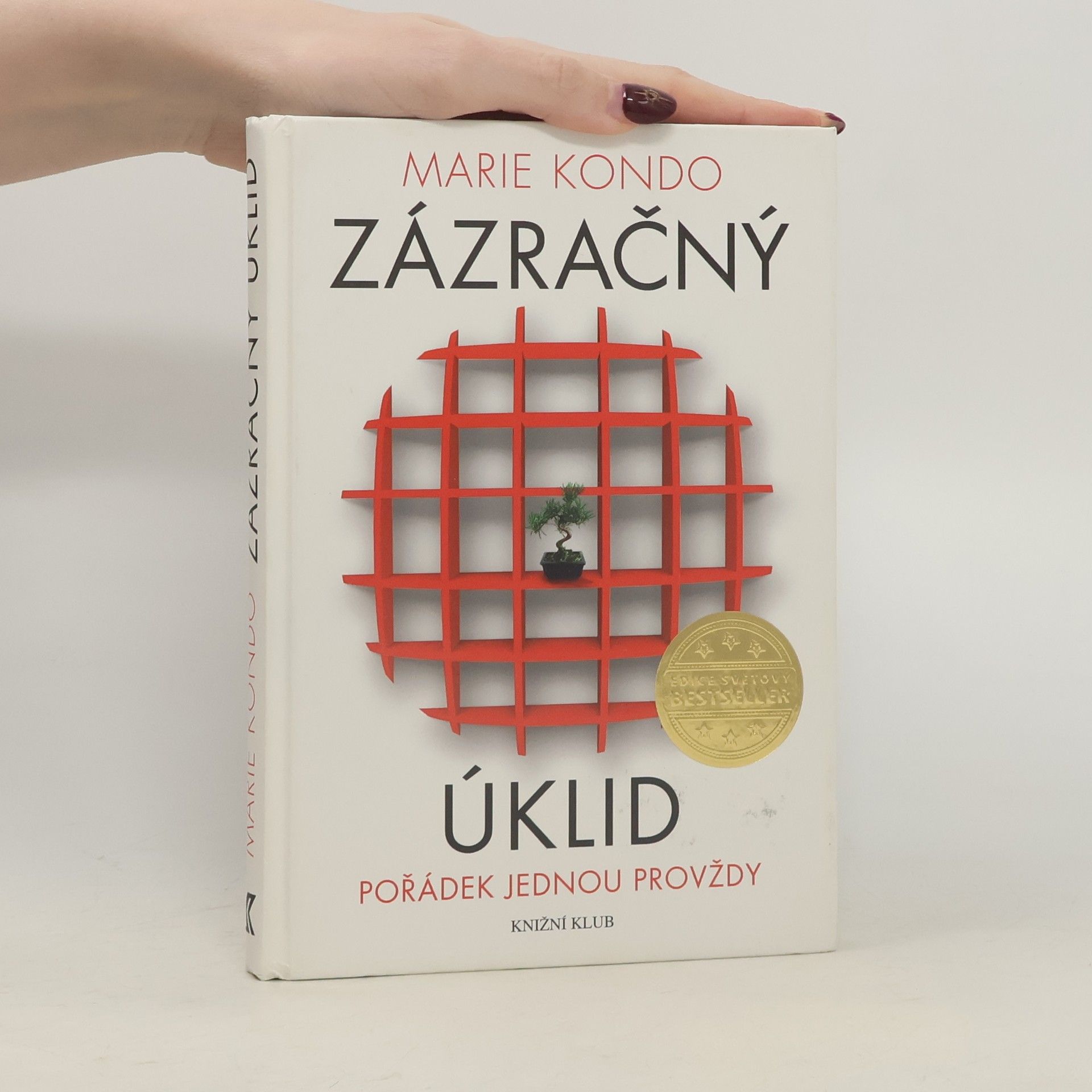 Marie Kondō Zázračný úklid