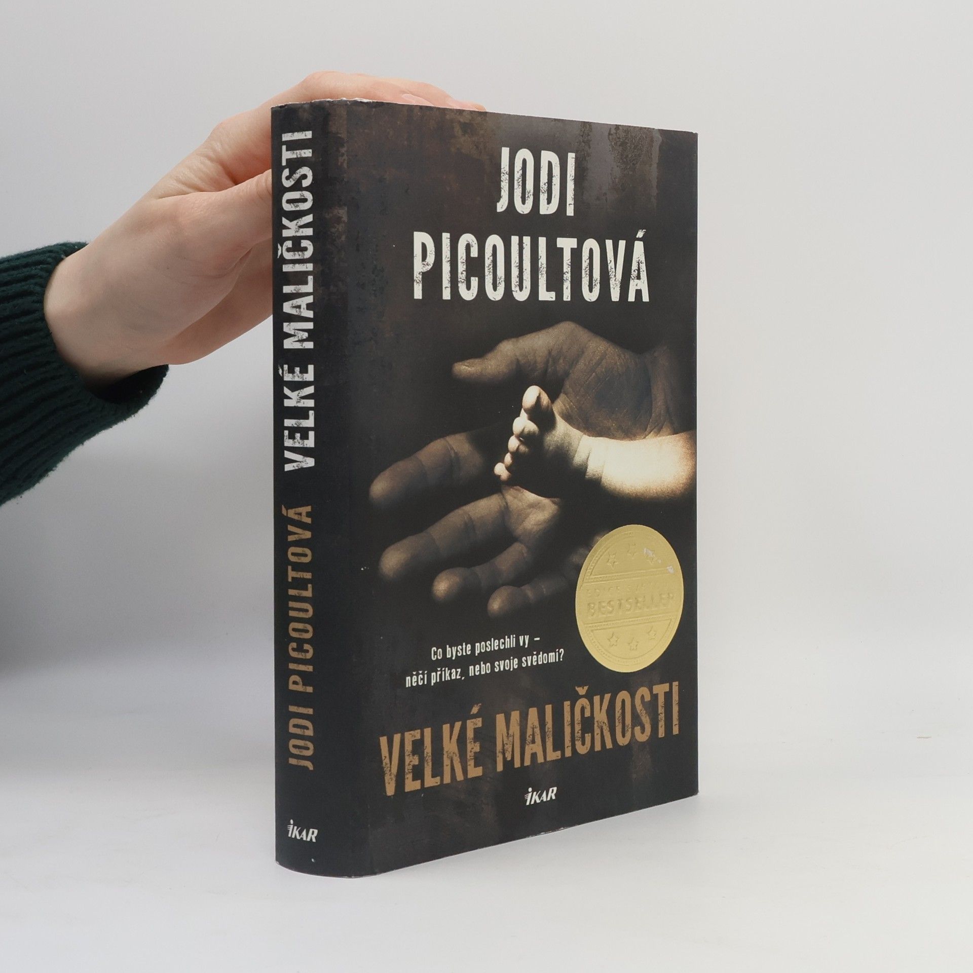 Jodi Picoult Velké maličkosti