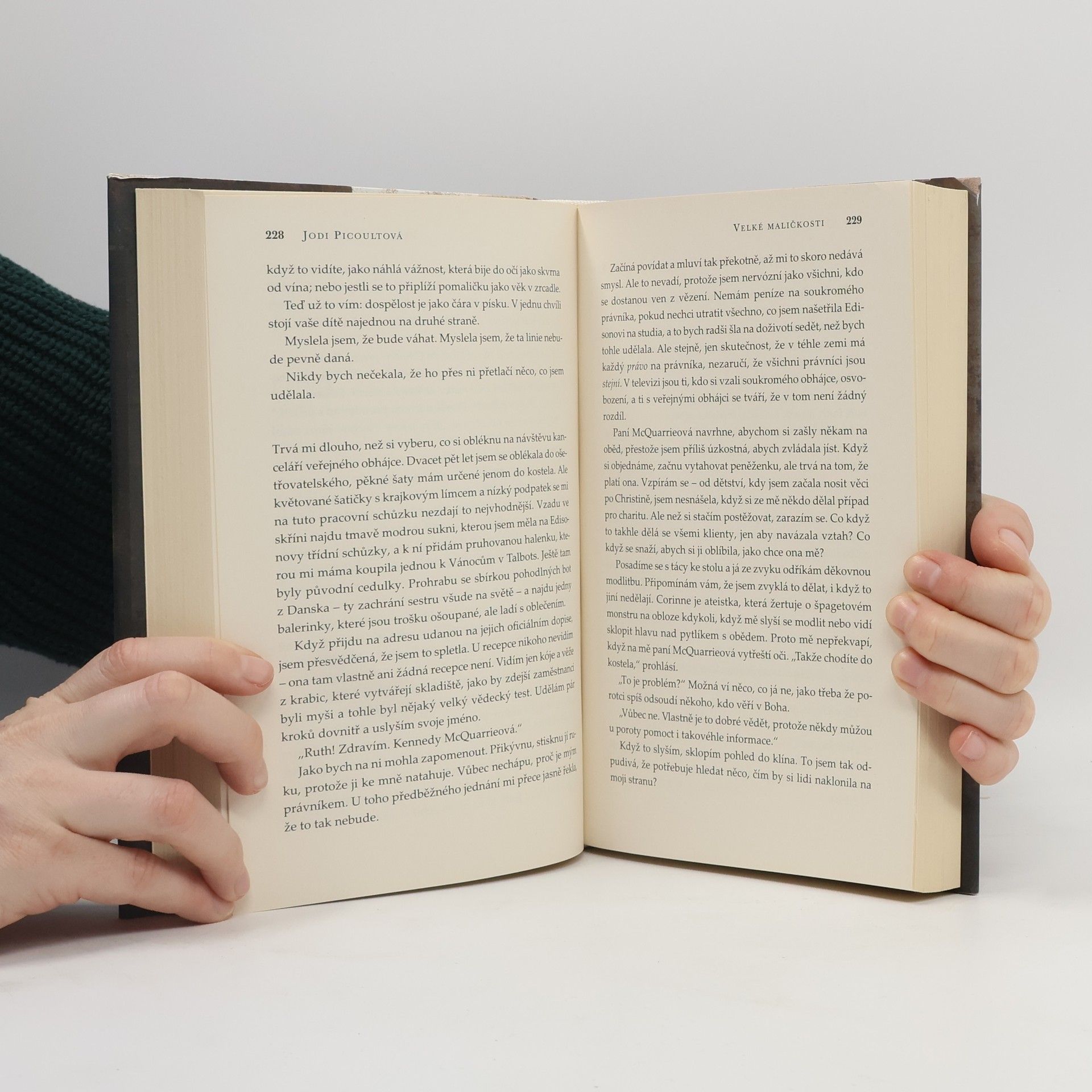 Jodi Picoult Velké maličkosti