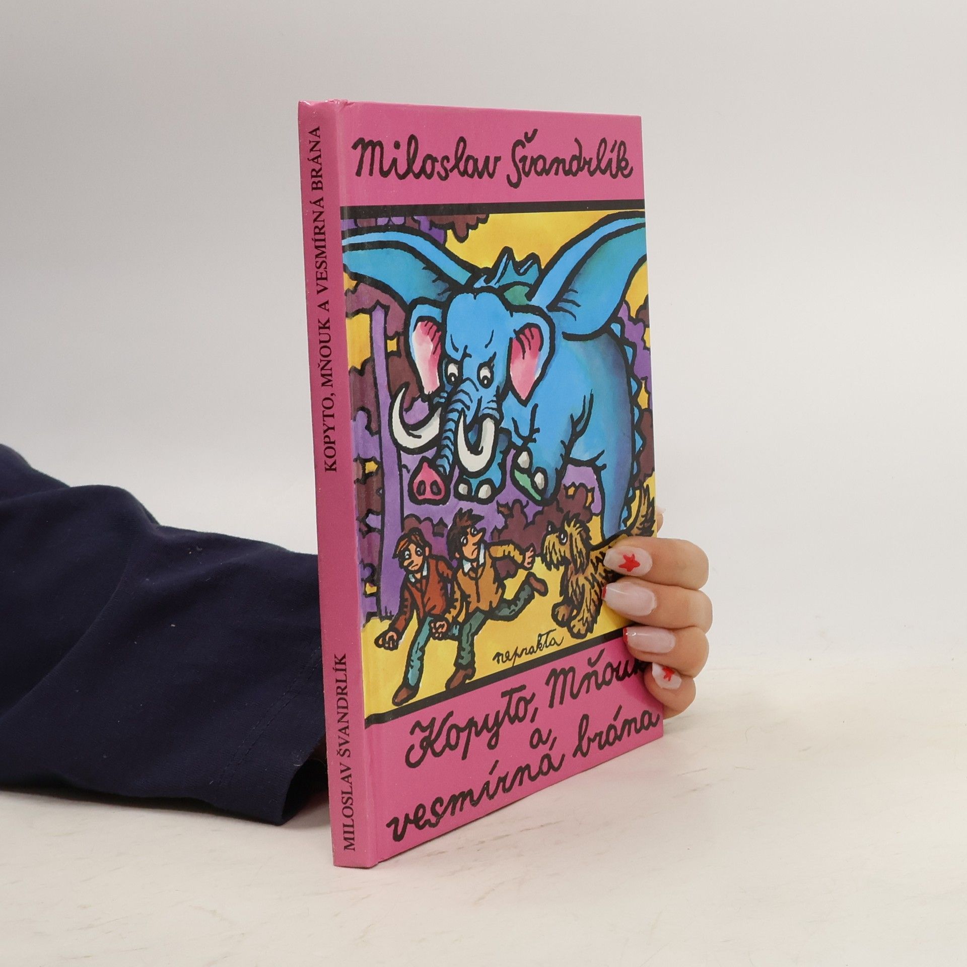 Miloslav Švandrlík Kopyto, Mňouk a vesmírná brána