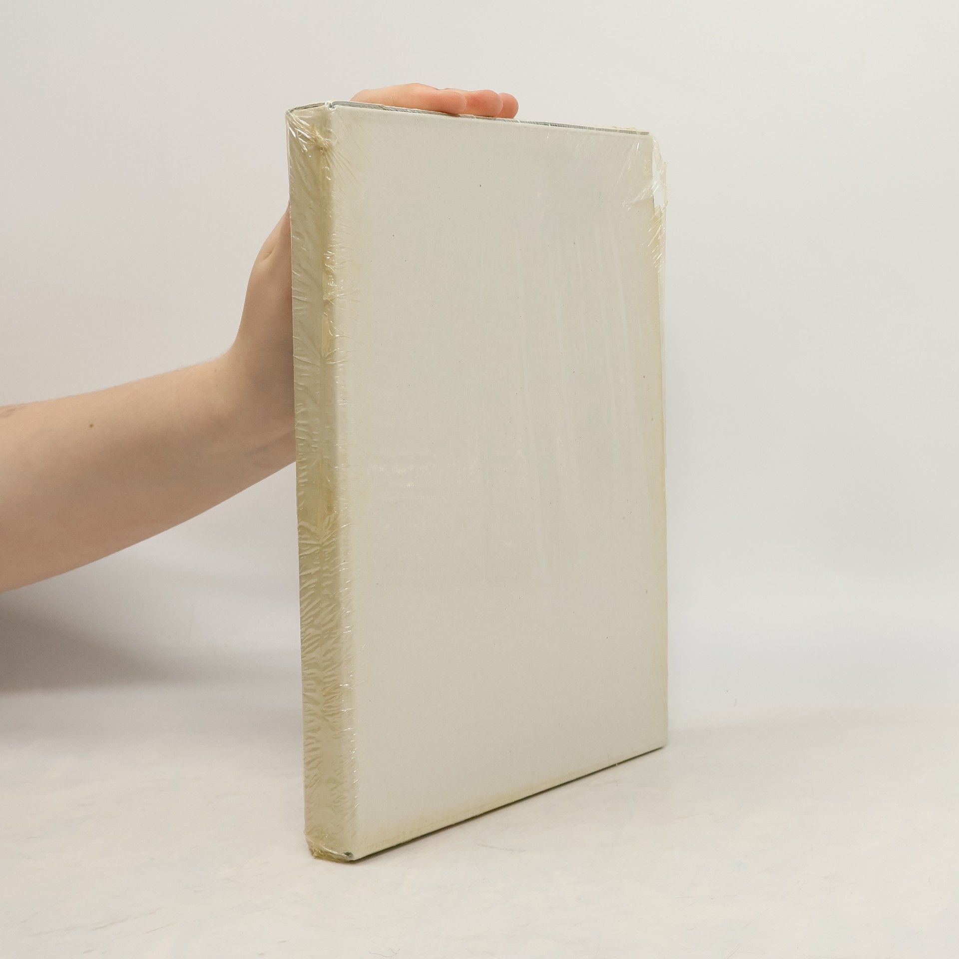 Kommentar zum Bürgerlichen Gesetzbuch II