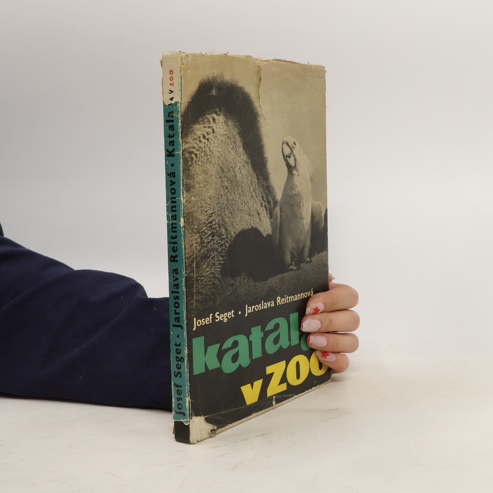 Katala v zoo