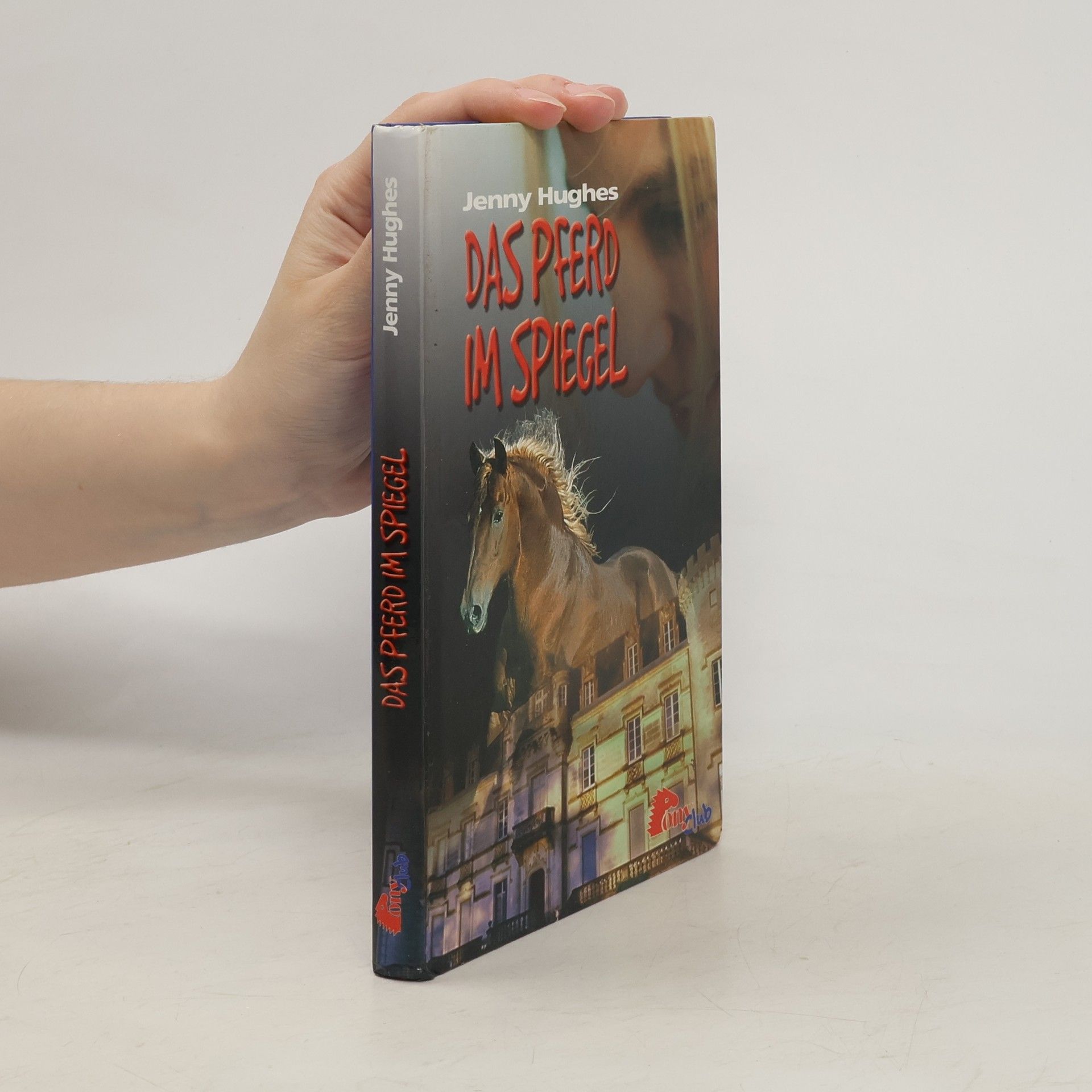 Jenny Hughes Das Pferd im Spiegel