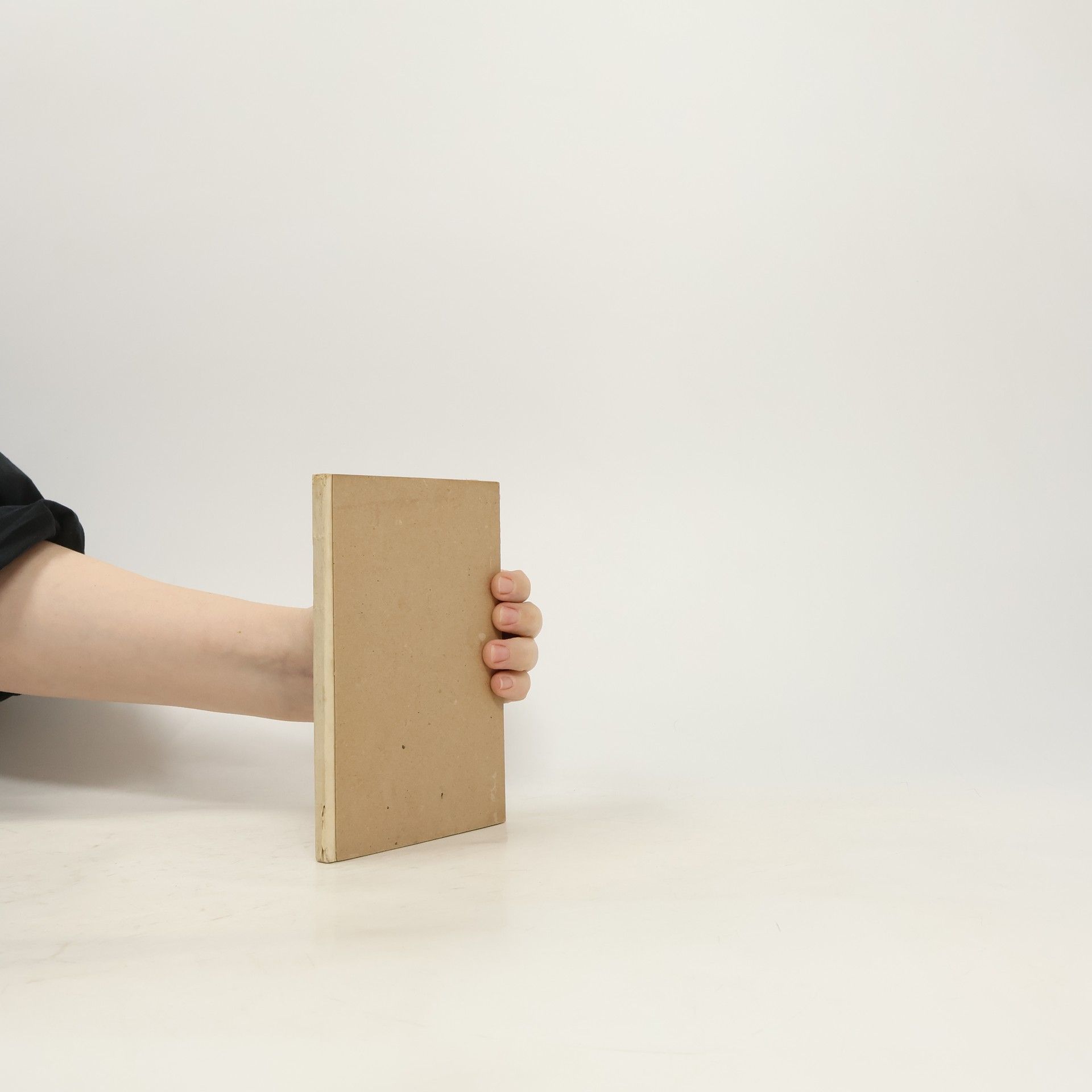 Autorenkollektiv Illustrated Agra Guide