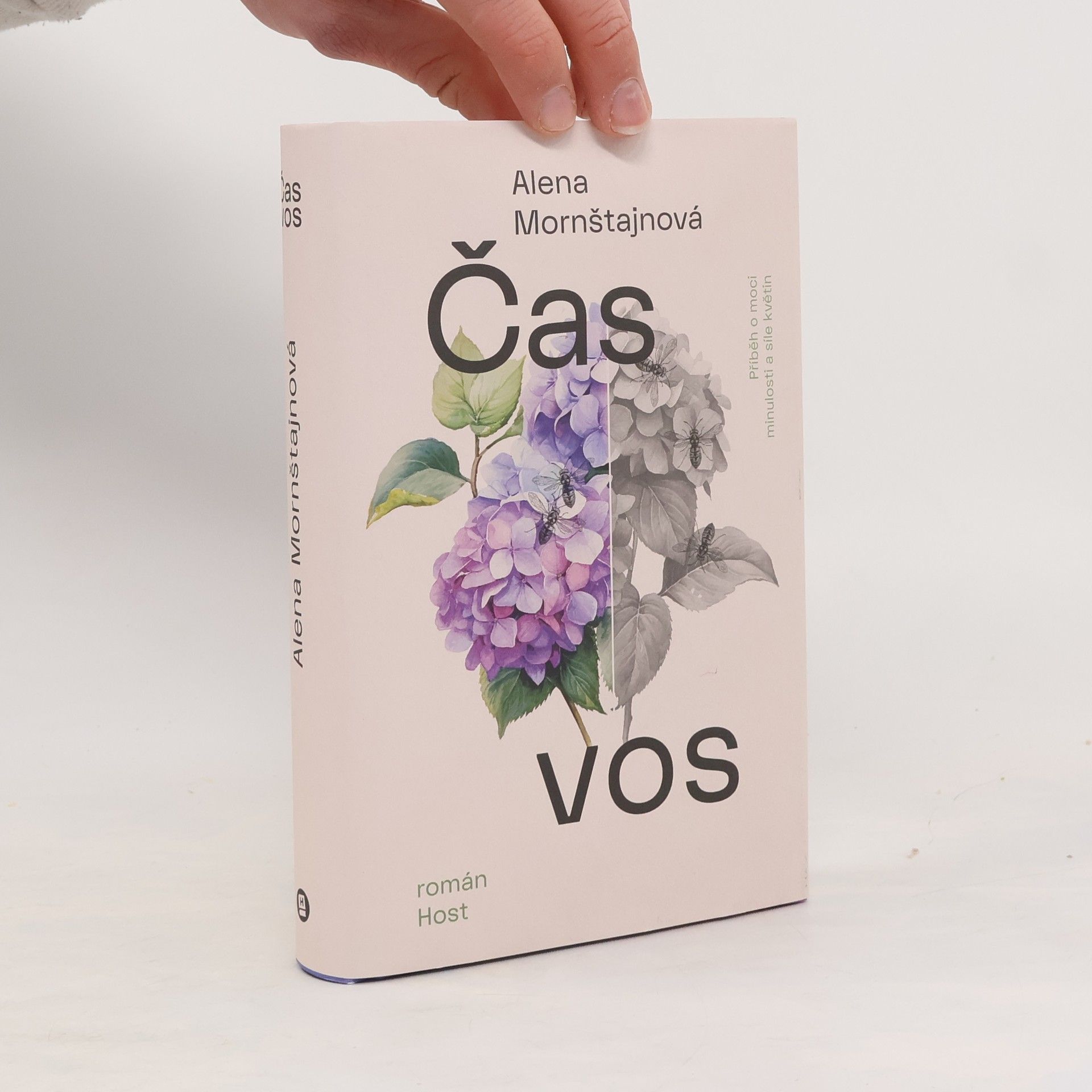 Alena Mornštajnová Čas vos