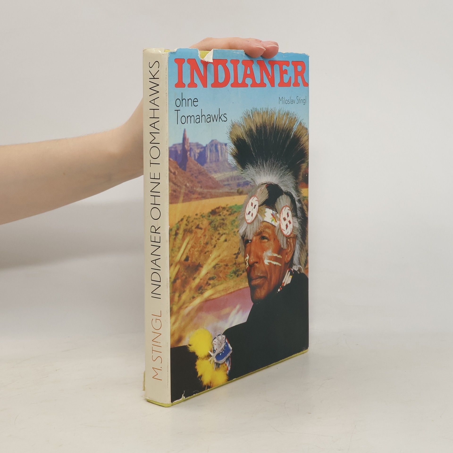 Miloslav Stingl Indianer ohne Tomahawks