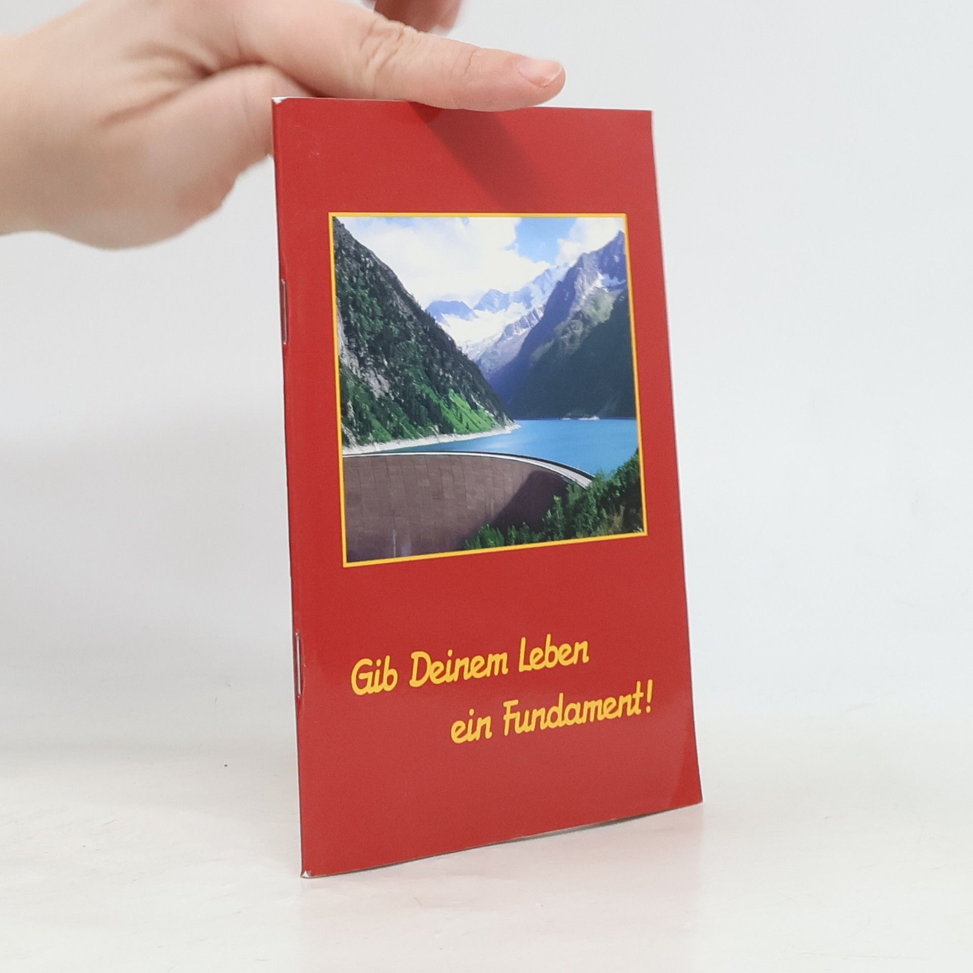 Autorenkollektiv Gib Deinem Leben ein Fundament!