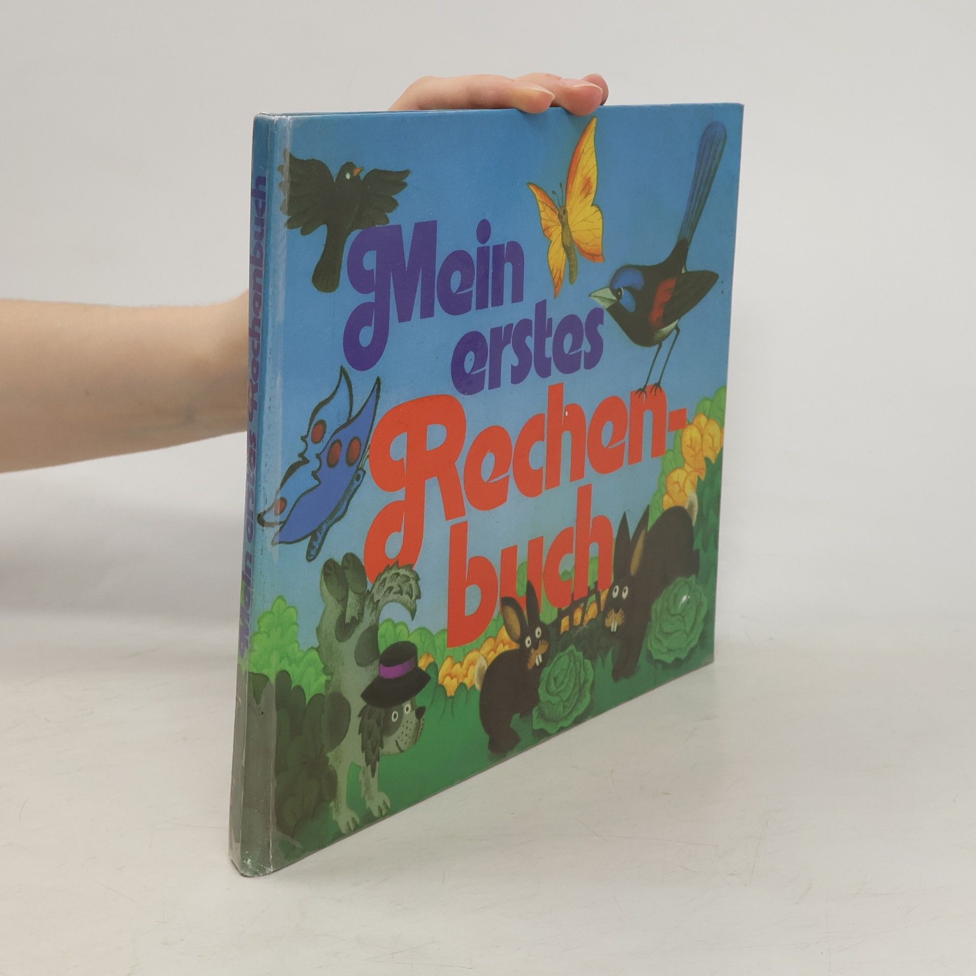 Mein erstes Rechenbuch