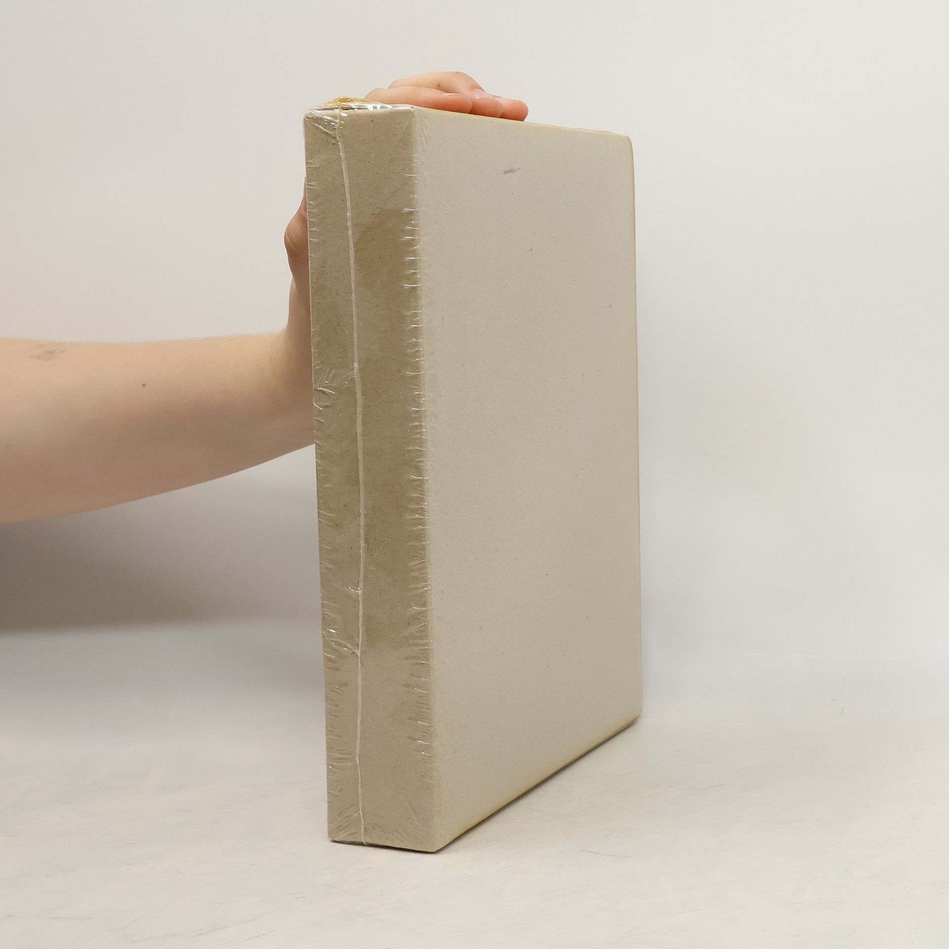 Hans Wolfsteiner J. von Staudingers Kommentar zum Bürgerlichen Gesetzbuch : mit Einführungsgesetz und Nebengesetzen. Buch 3. Sachenrecht. - §§ 1113 - 1203