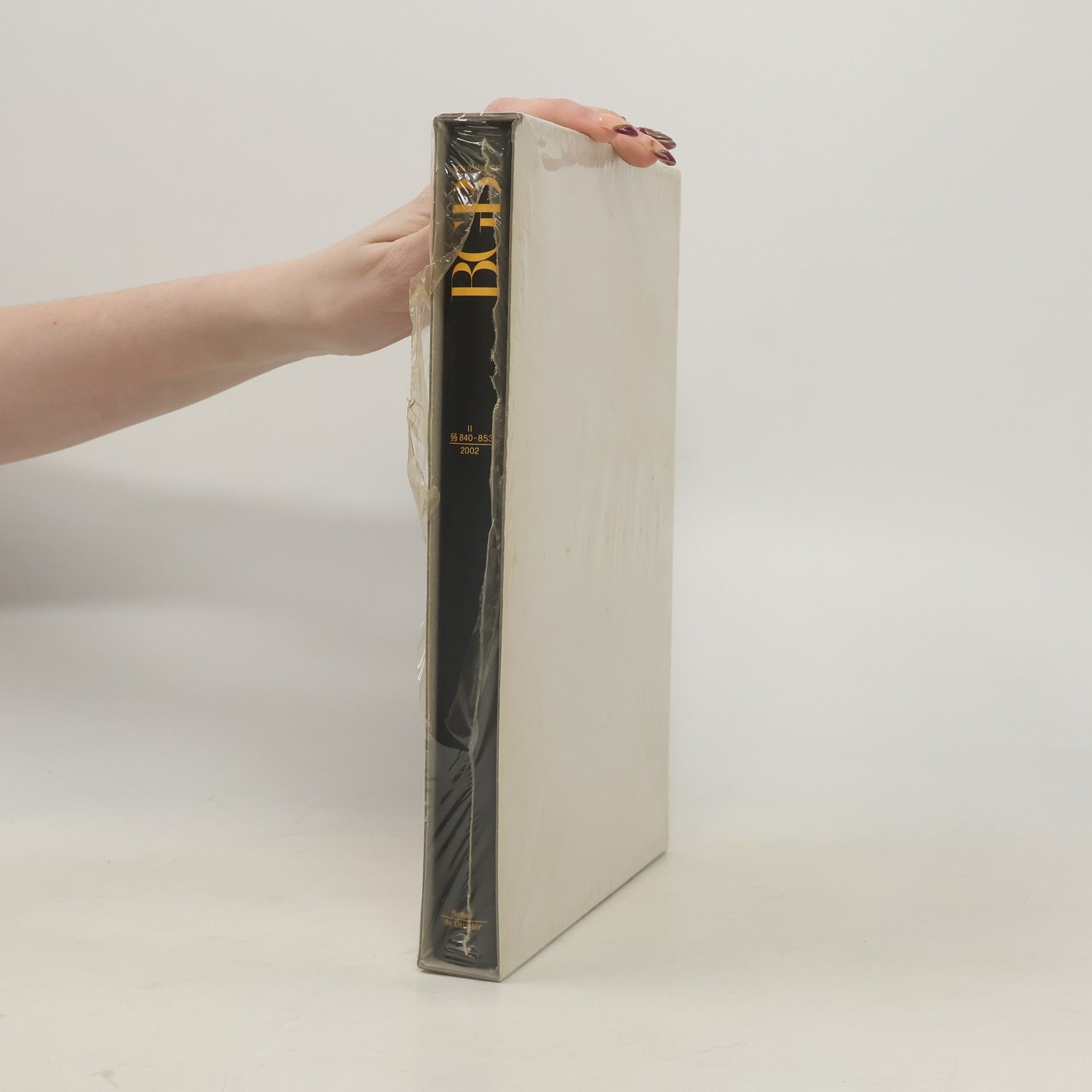 Kommentar zum Bürgerlichen Gesetzbuch II