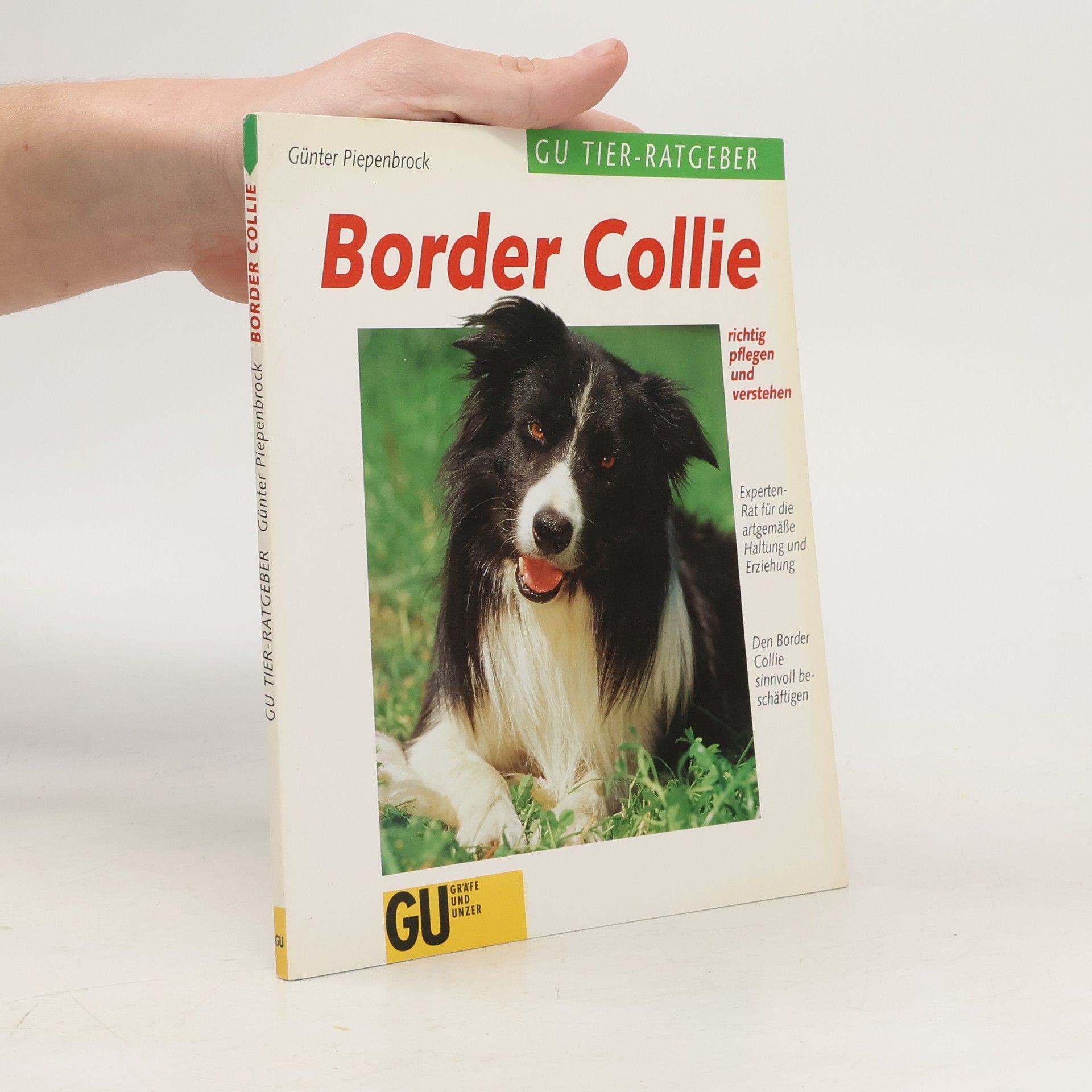 Günter Piepenbrock Border Collie